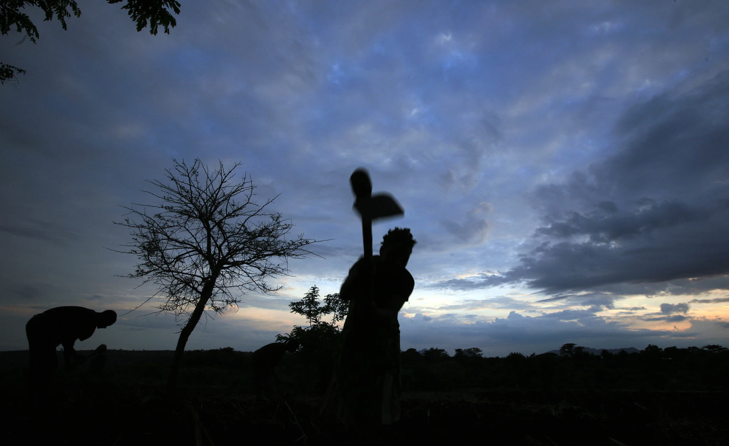  Villagers from Mwachilolo, Malawi start work in their crop field at dawn. 'Pump Aid' Elephant water pumps help with irrigation of crops. November 2008. 