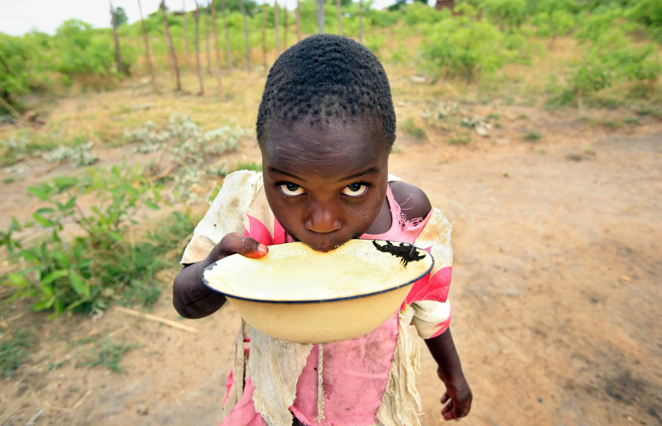  An orphaned girl drinks well water in the village of Chamadinga, Malawi. 'Pump Aid' installed an Elephant water pump, providing clean water for the hundreds of orphaned children living there. November 2008. 