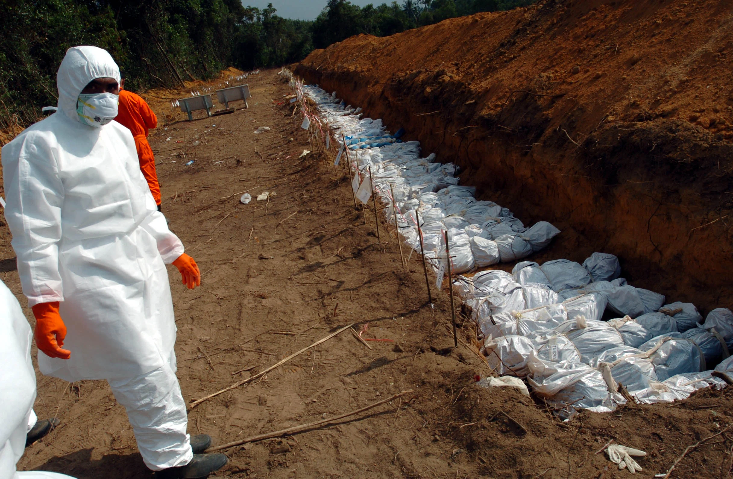  Thai officials bury some of the thousands of unidentified bodies in mass graves near Khao Lak, Thailand in January 2005, following the tsunami which struck, christmas, 2004. 