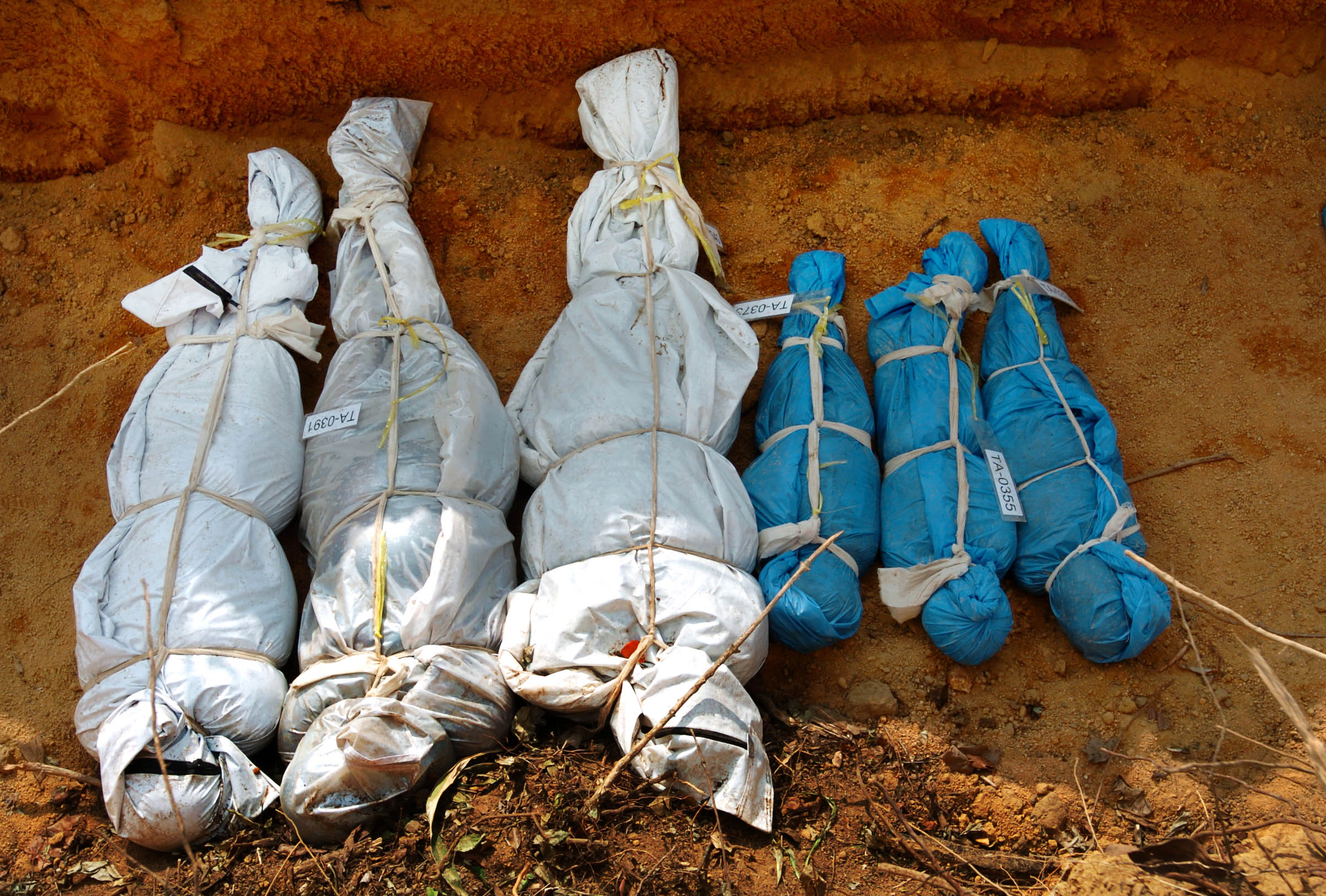  Some of the thousands of unidentified bodies in mass graves near Khao Lak, Thailand in January 2005, following the tsunami which struck, christmas, 2004. 