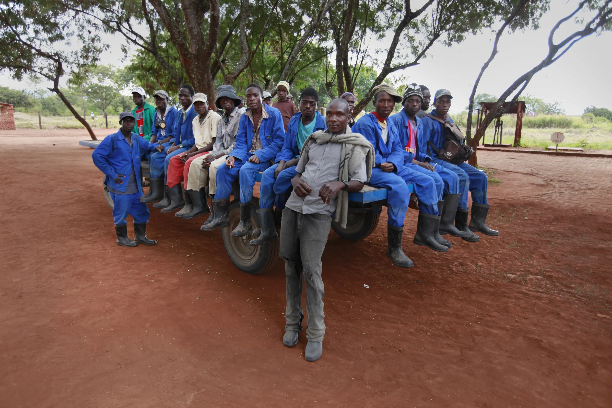  Workers on a Jatropha plantation, on a former tobacco estate in north-western Mozambique for the British company, 'Sun bio-fuels'. June 2010. 
