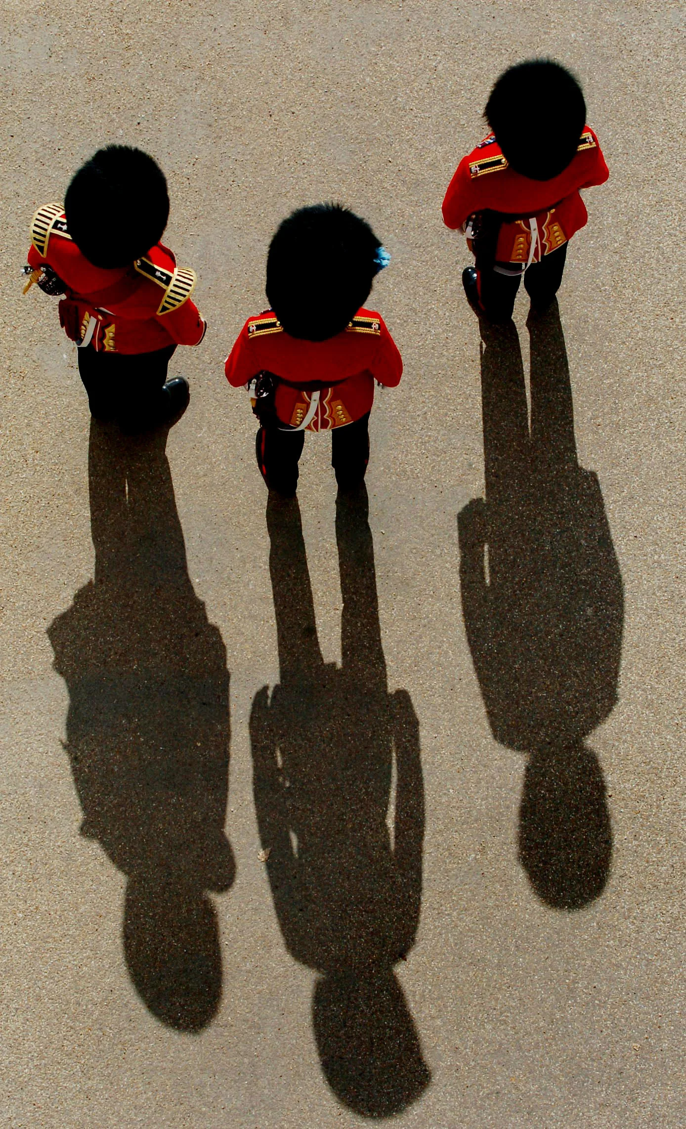  Guardsmen during a rehearsal of 'Beating the Retreat'. Horse Guards Parade, London. May, 2005.    