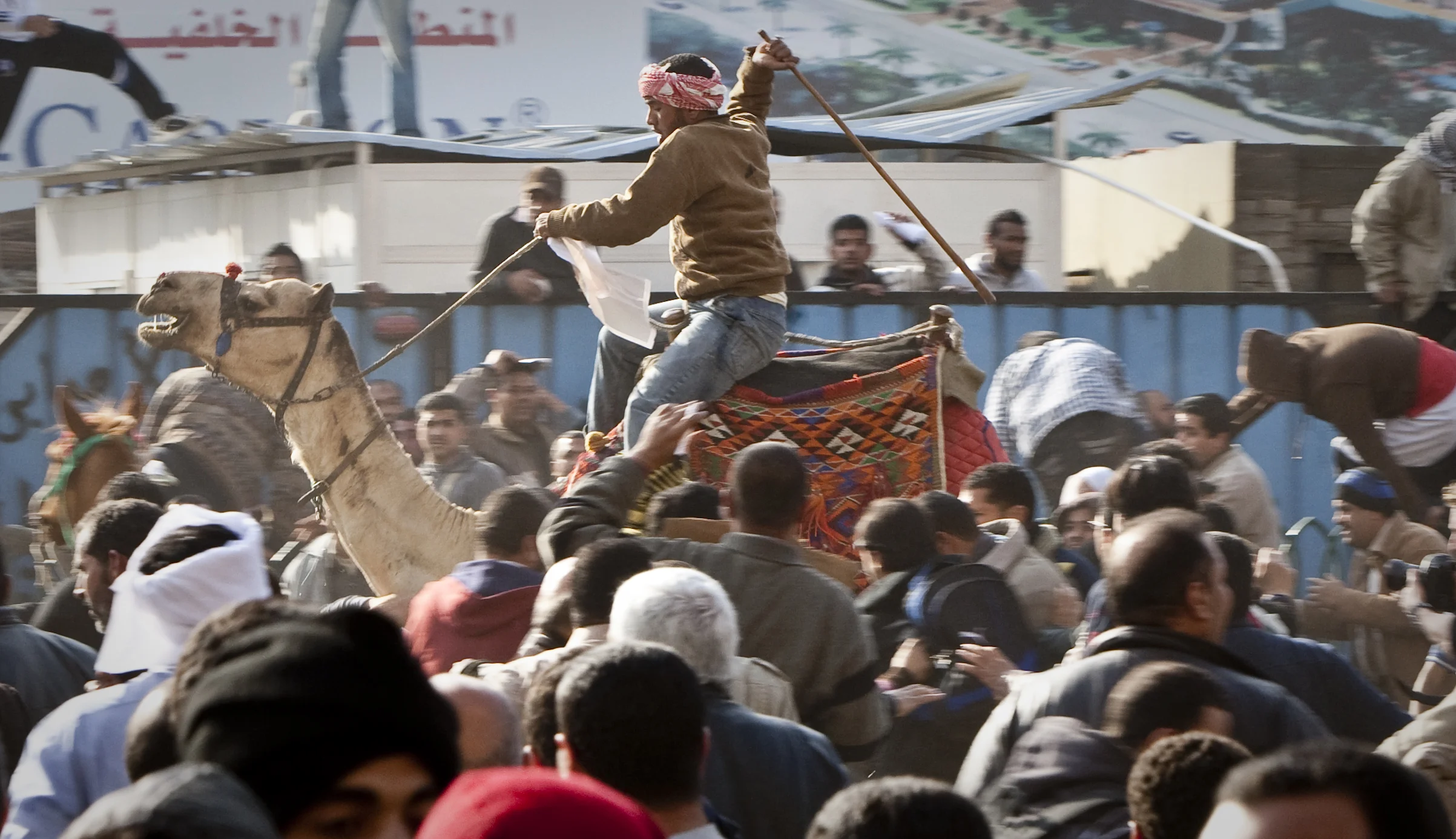  A camel riding pro Mubarak demonstrator rides through anti Mubarak crowds in Tahrir square, Cairo, 2011. 