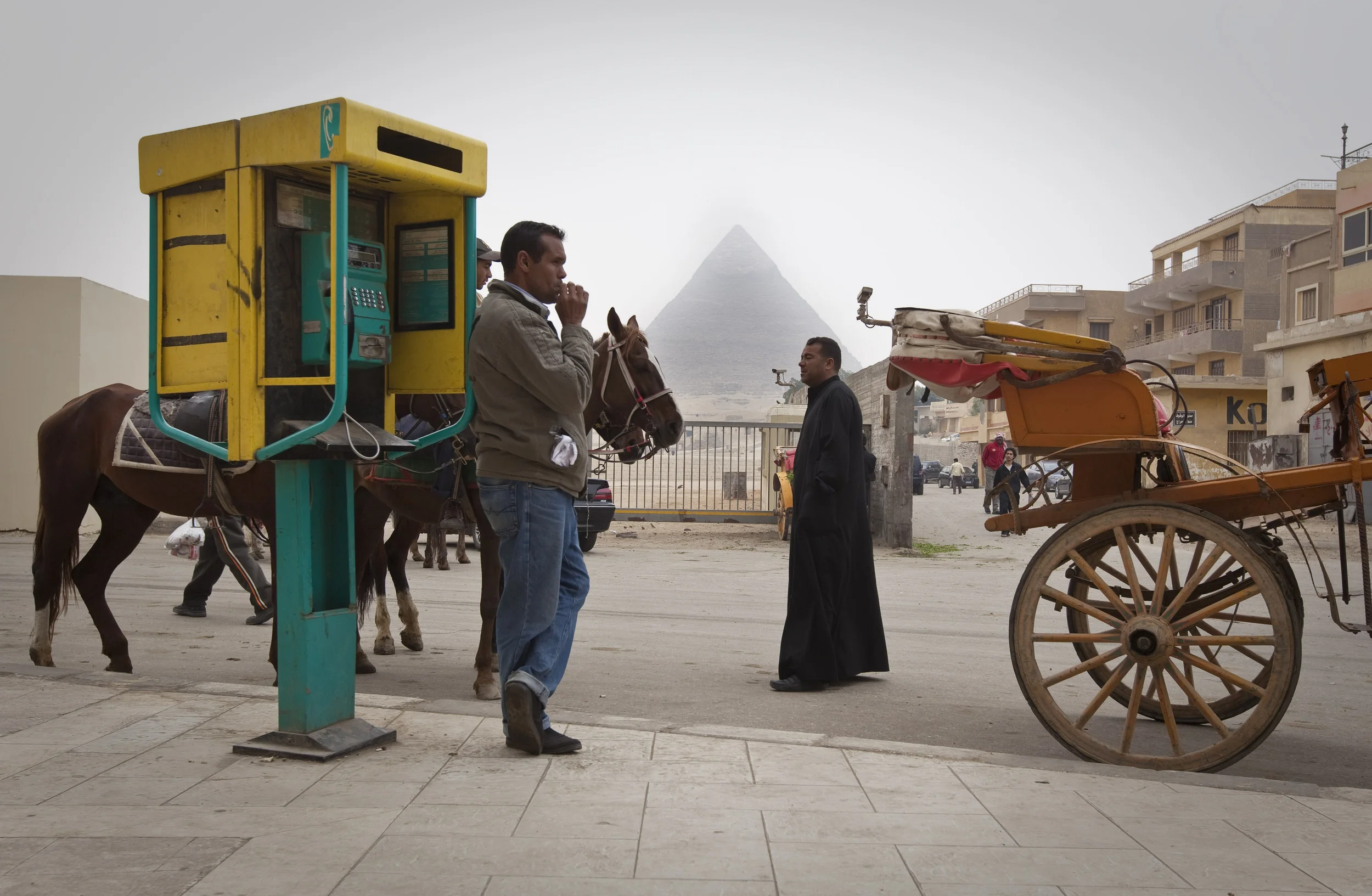 Horse and cart owners have no business as tourists were absent during the rioting over President Mubarak in Cairo, 2011.