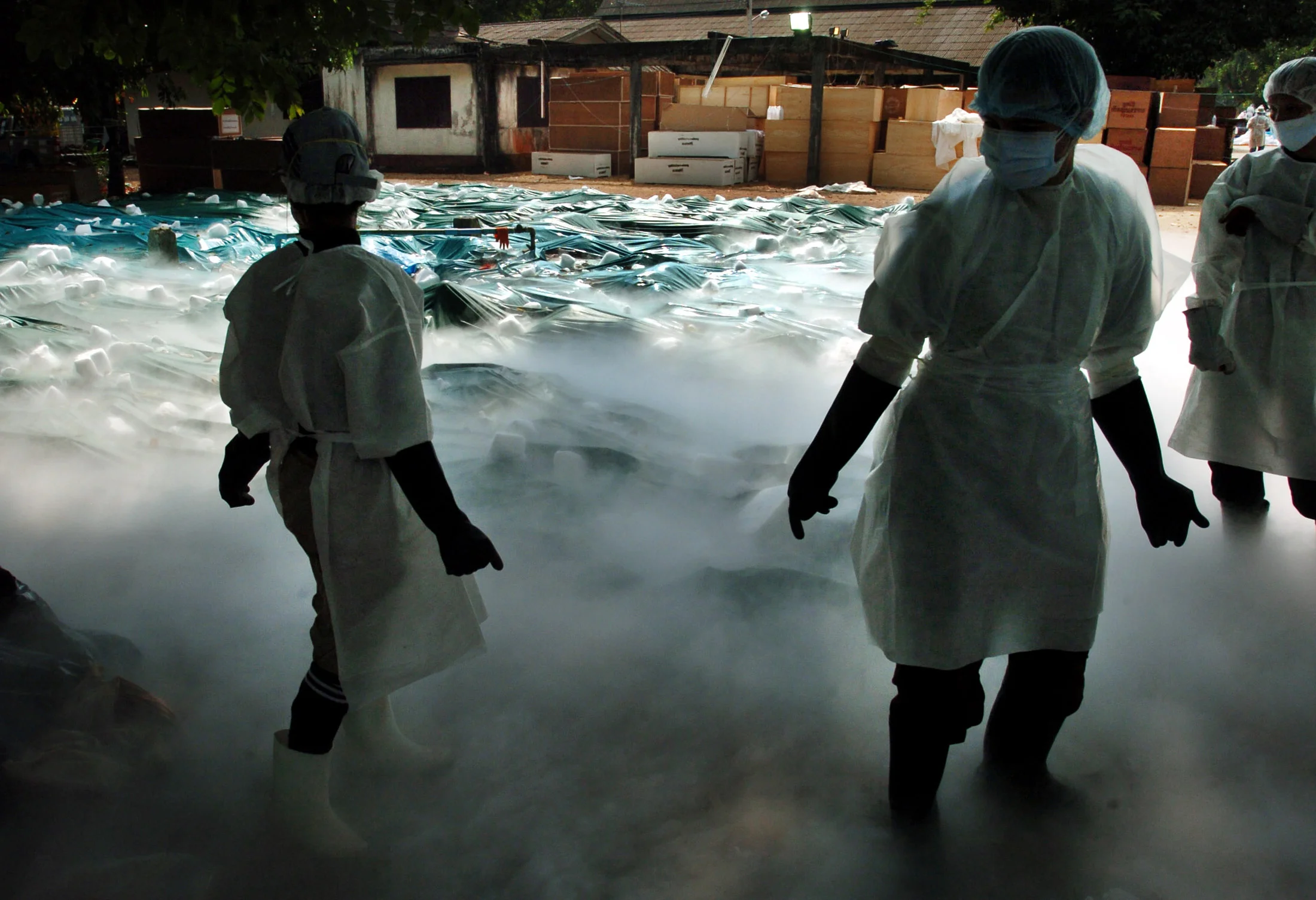 Thai and foreign volunteers assist with the laying out of bodies under dry ice at a Buddhist temple near Khao Lak, Thailand, 2005, following the Asian tsunami, christmas 2004.