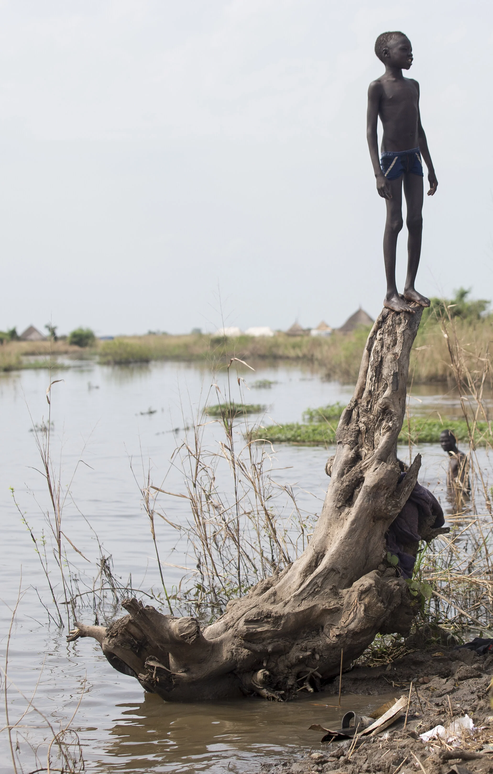  A South Sudanese refugee boy stands atop a felled tree at the flooded Leithchour refugee camp in Ethiopia. November 7, 2014 