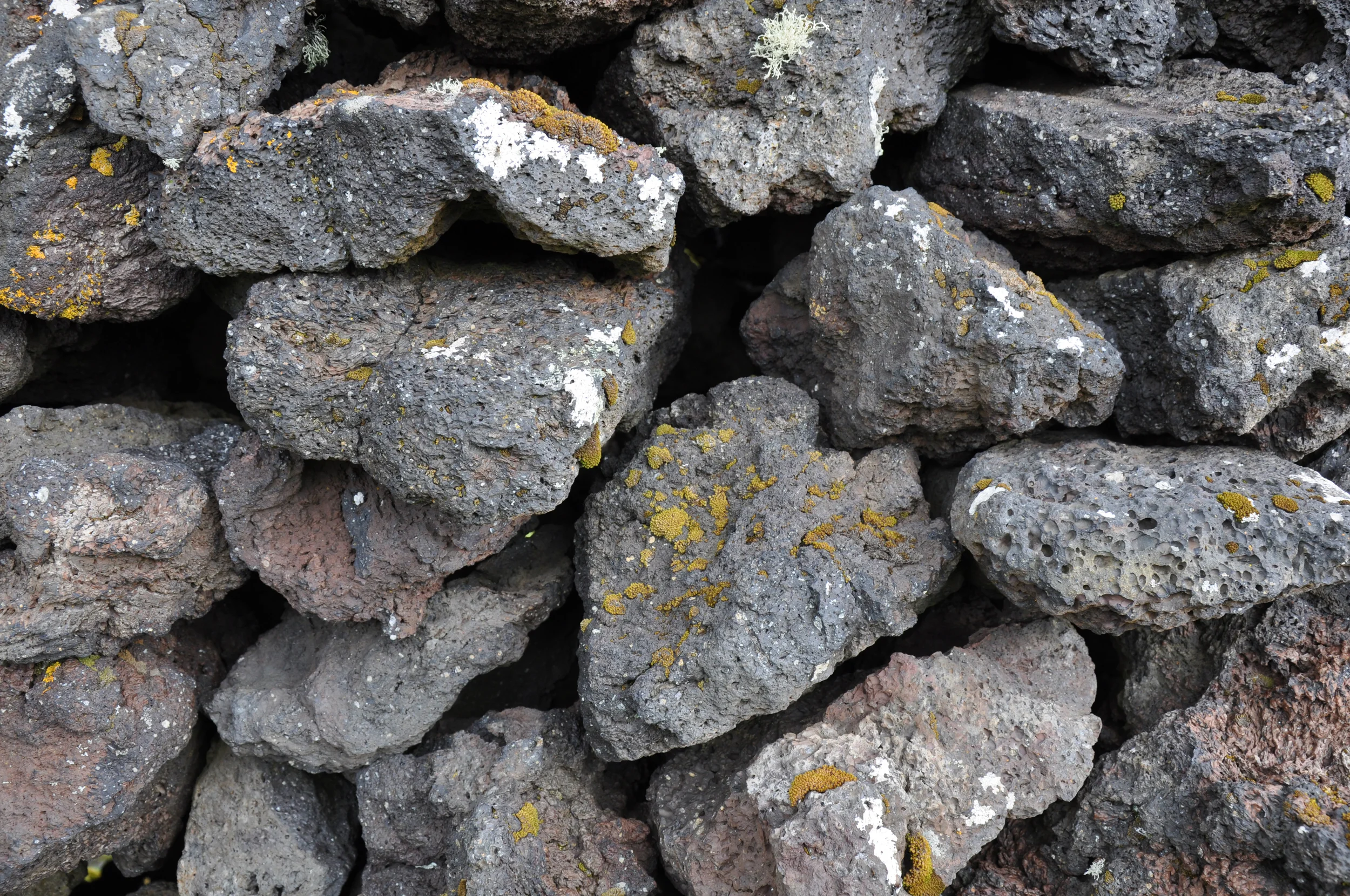 STONE_cover.jpg