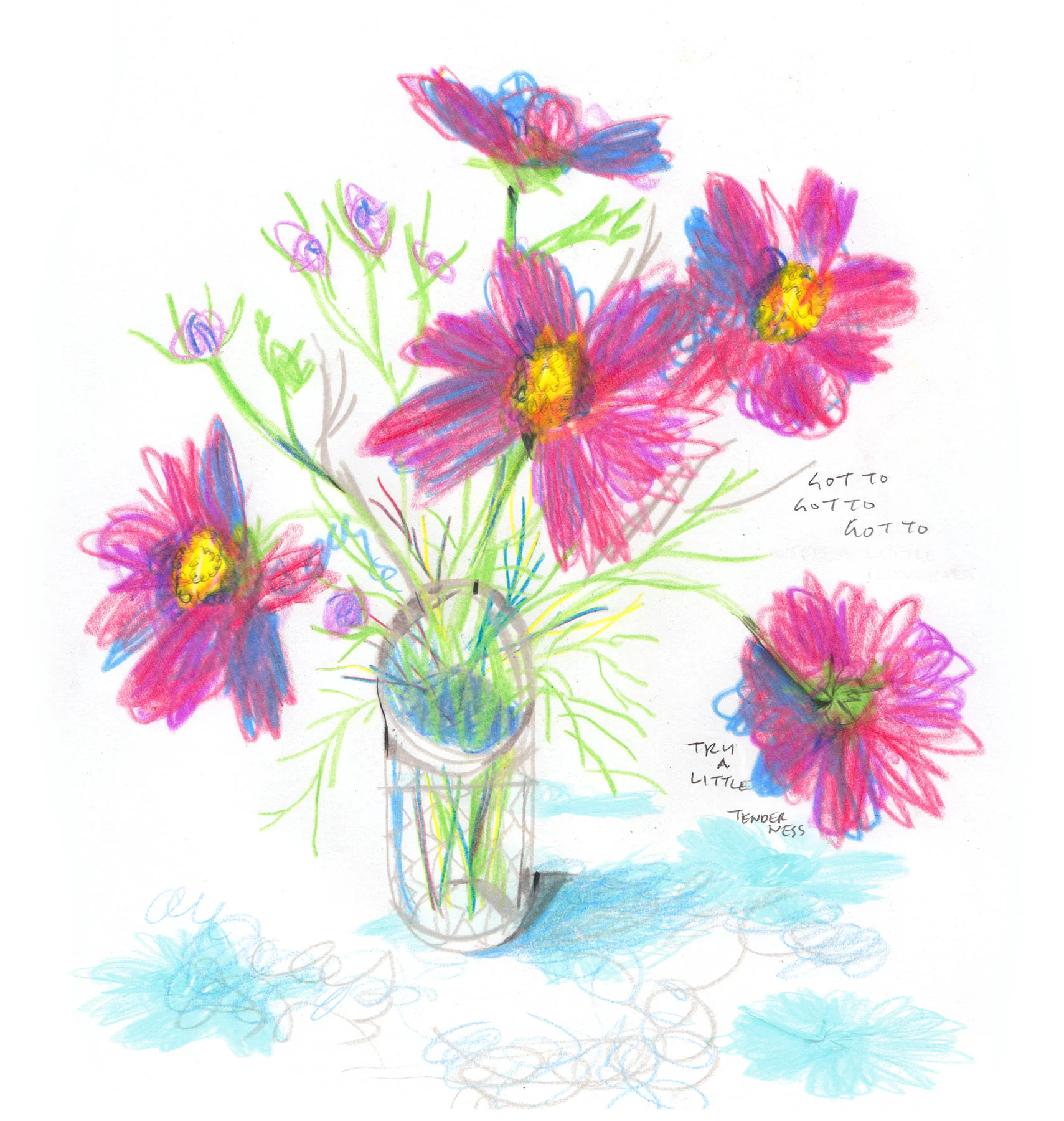 cosmos