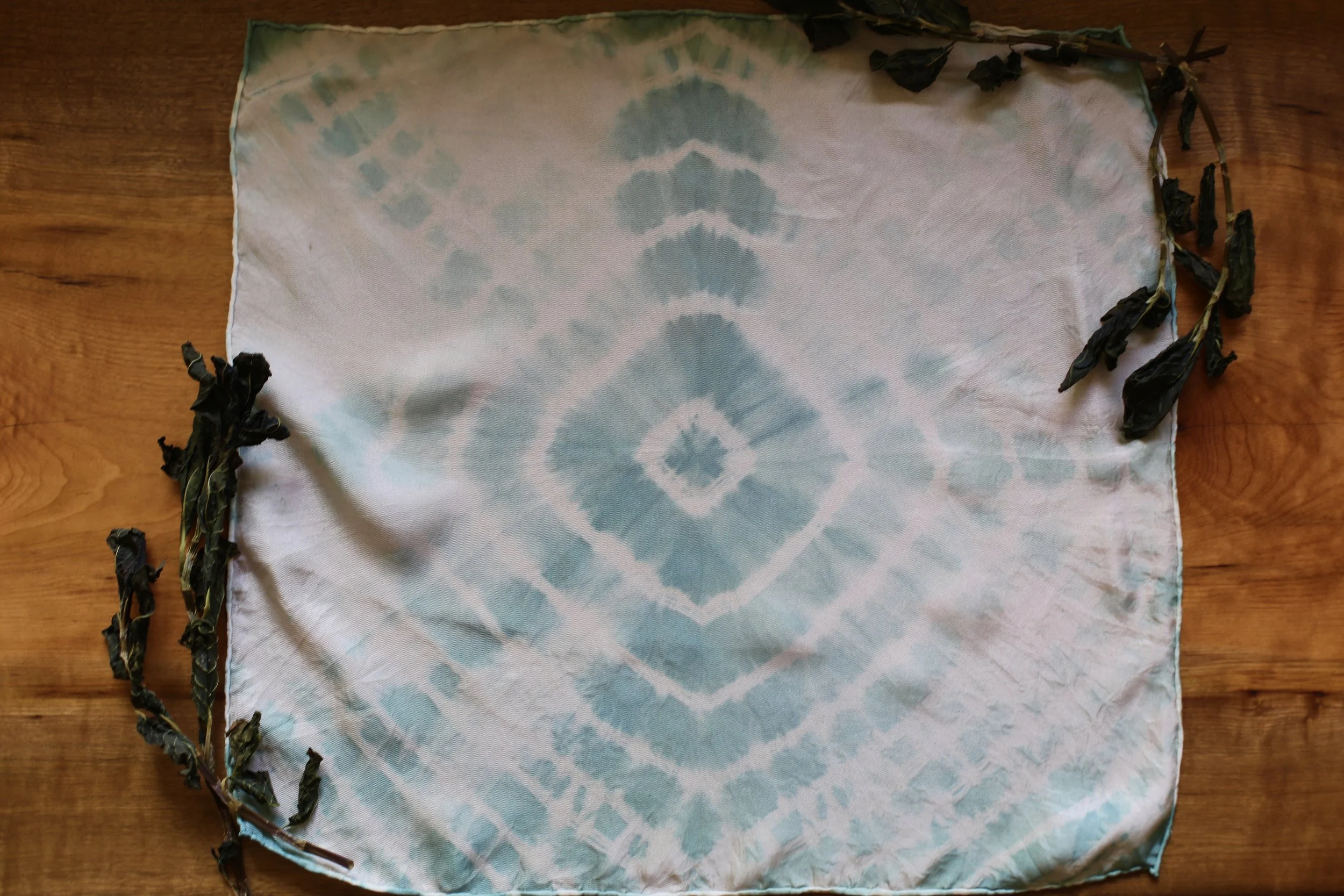 BA97AD41-B6B5-41D6-939C-48DF6555E55F.jpg