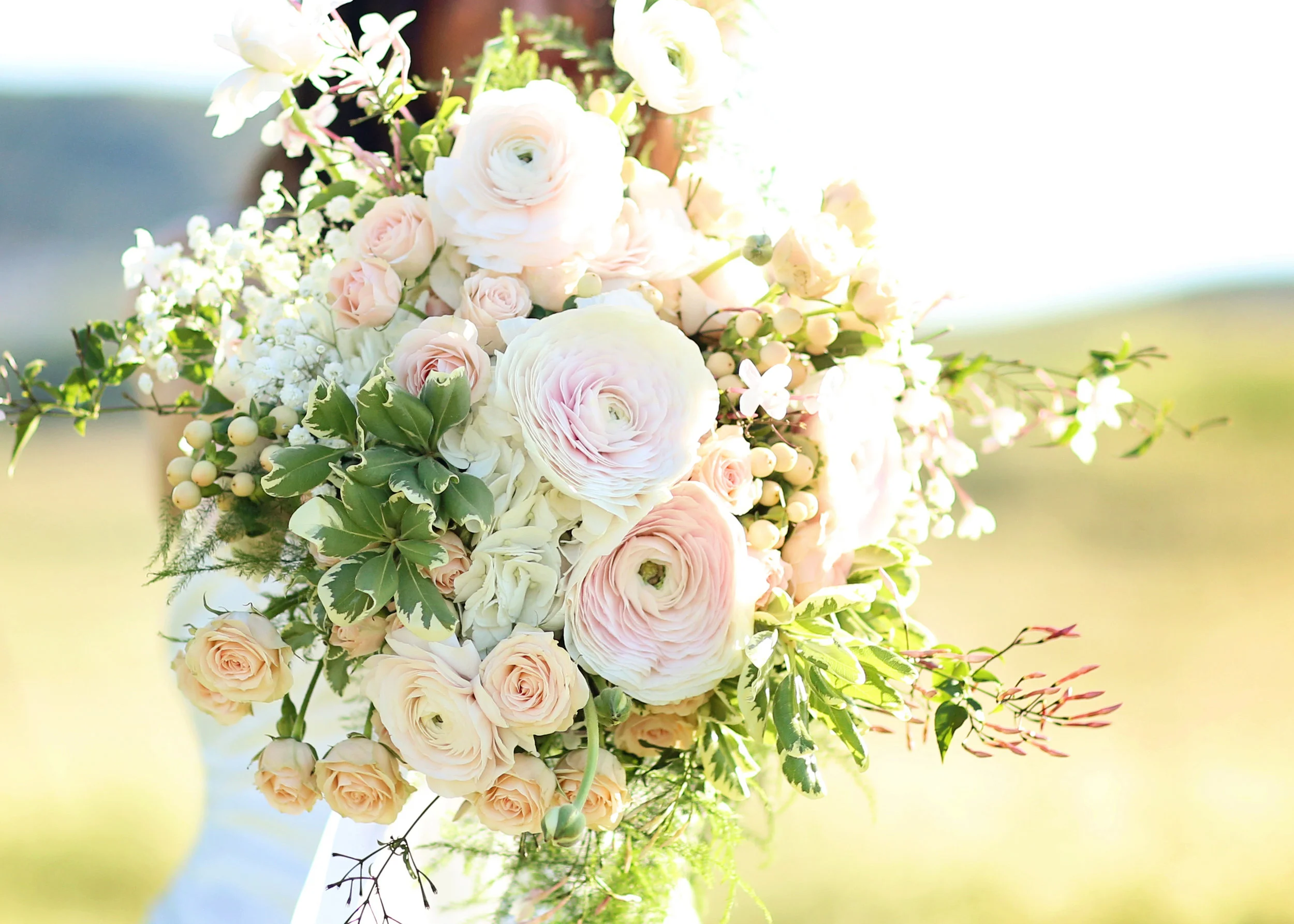 shawna cover page 2.JPG