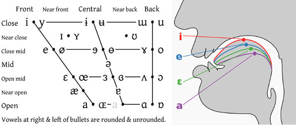 Natural Classes Of English Sounds Chart