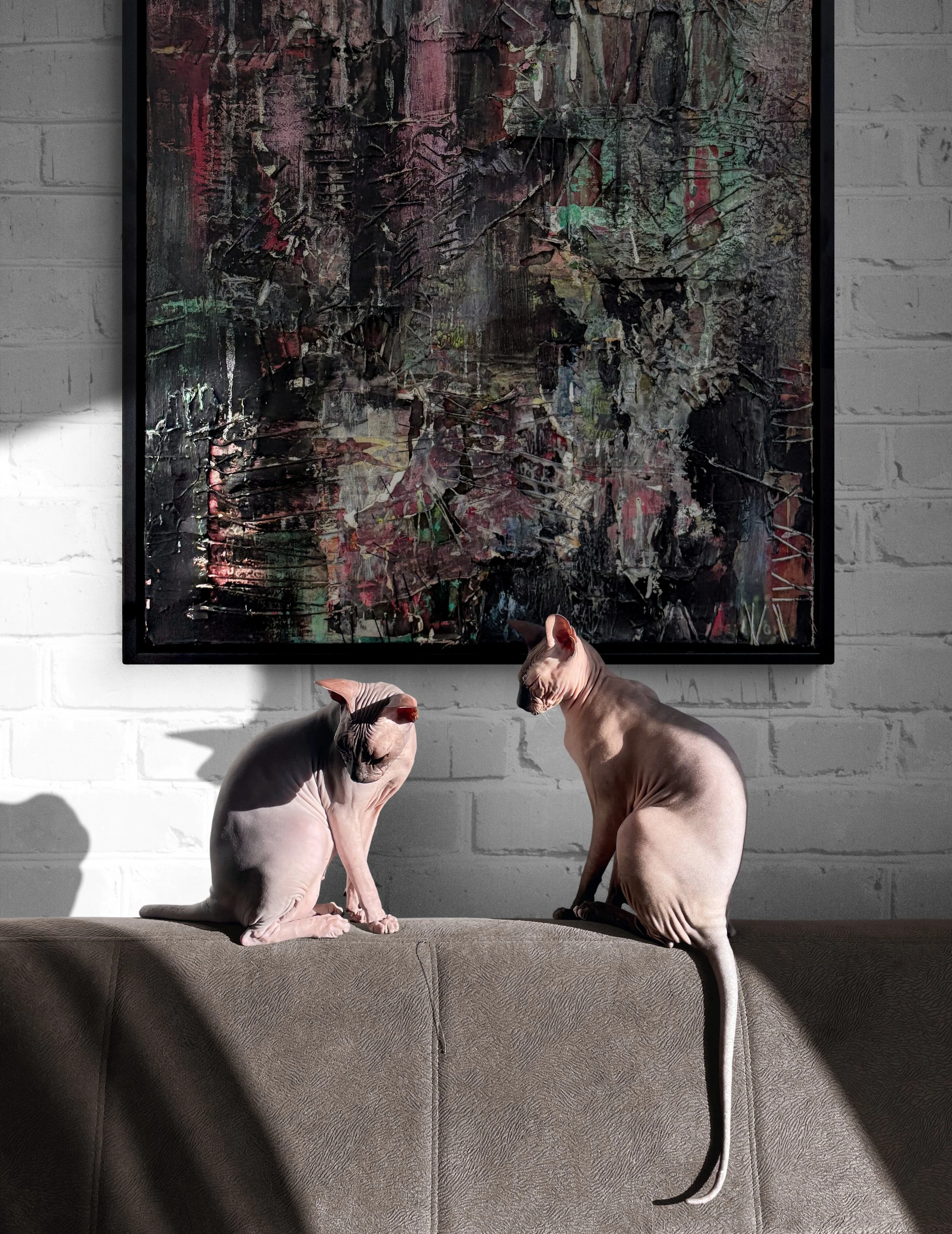 pair-of-cats-sunbathing-on-sofa.jpg