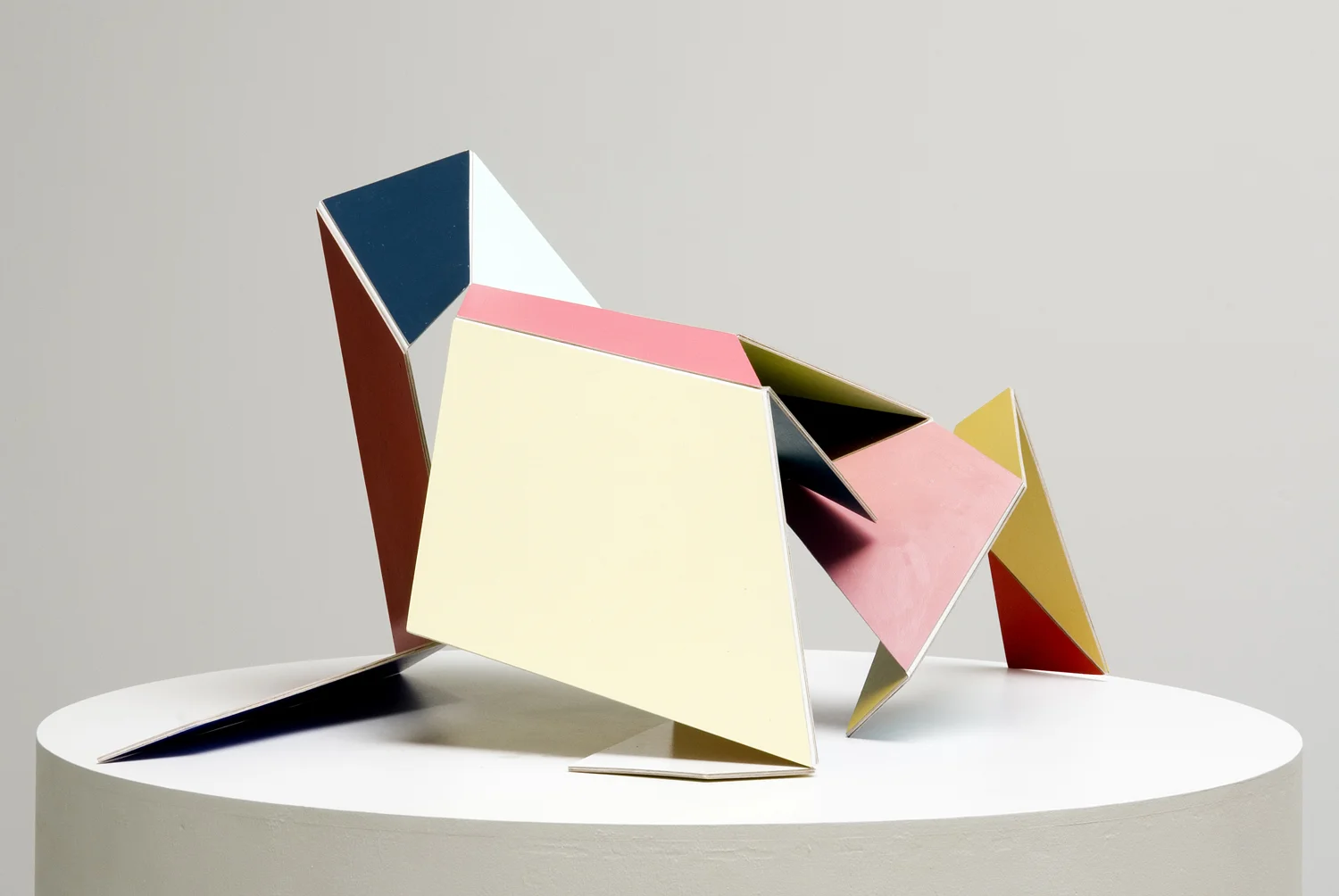 Adaptable (multicoloured) #1 2007 Acrylic on aircraft plywood dimensions variable