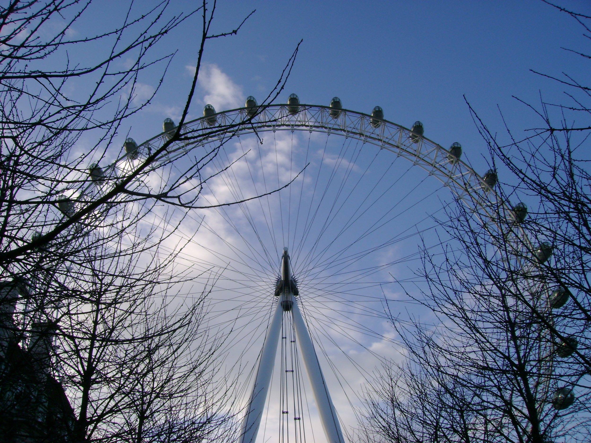 The Eye