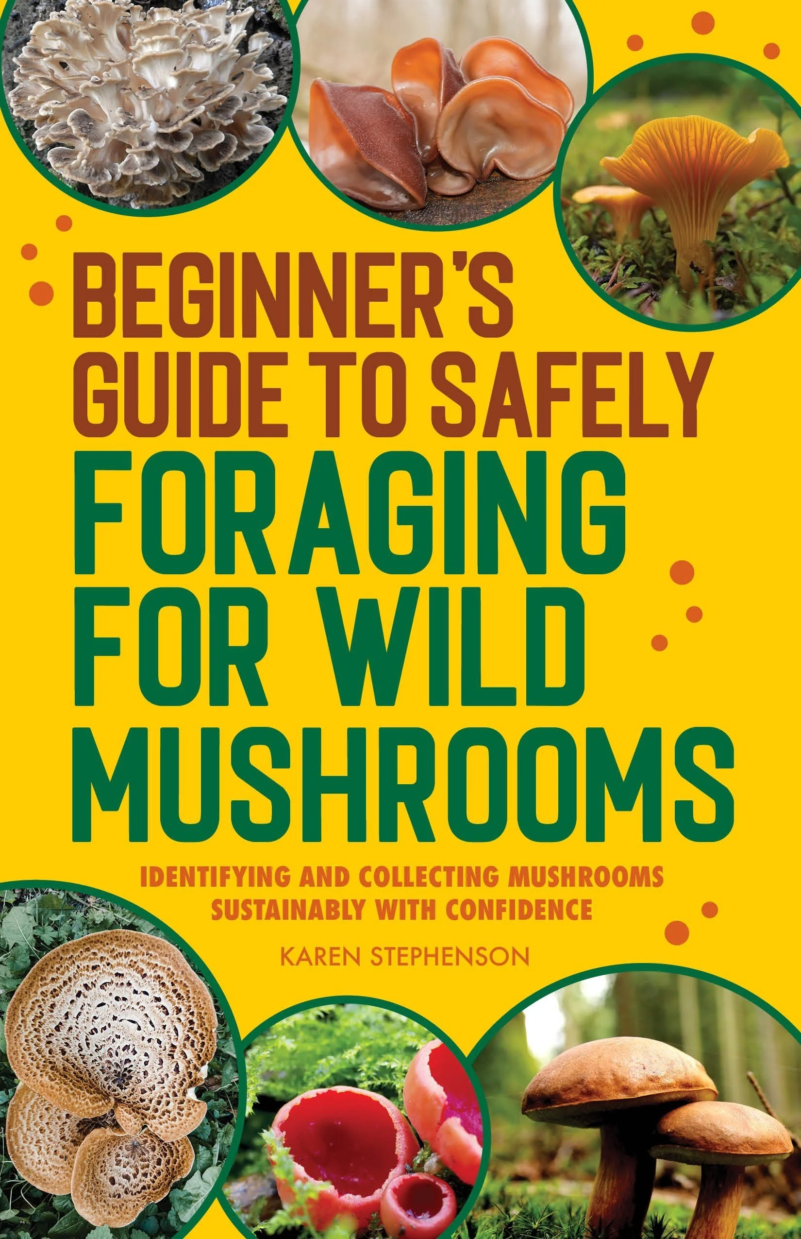 Beginner's Guide To Safely Foraging for Wild Mushrooms