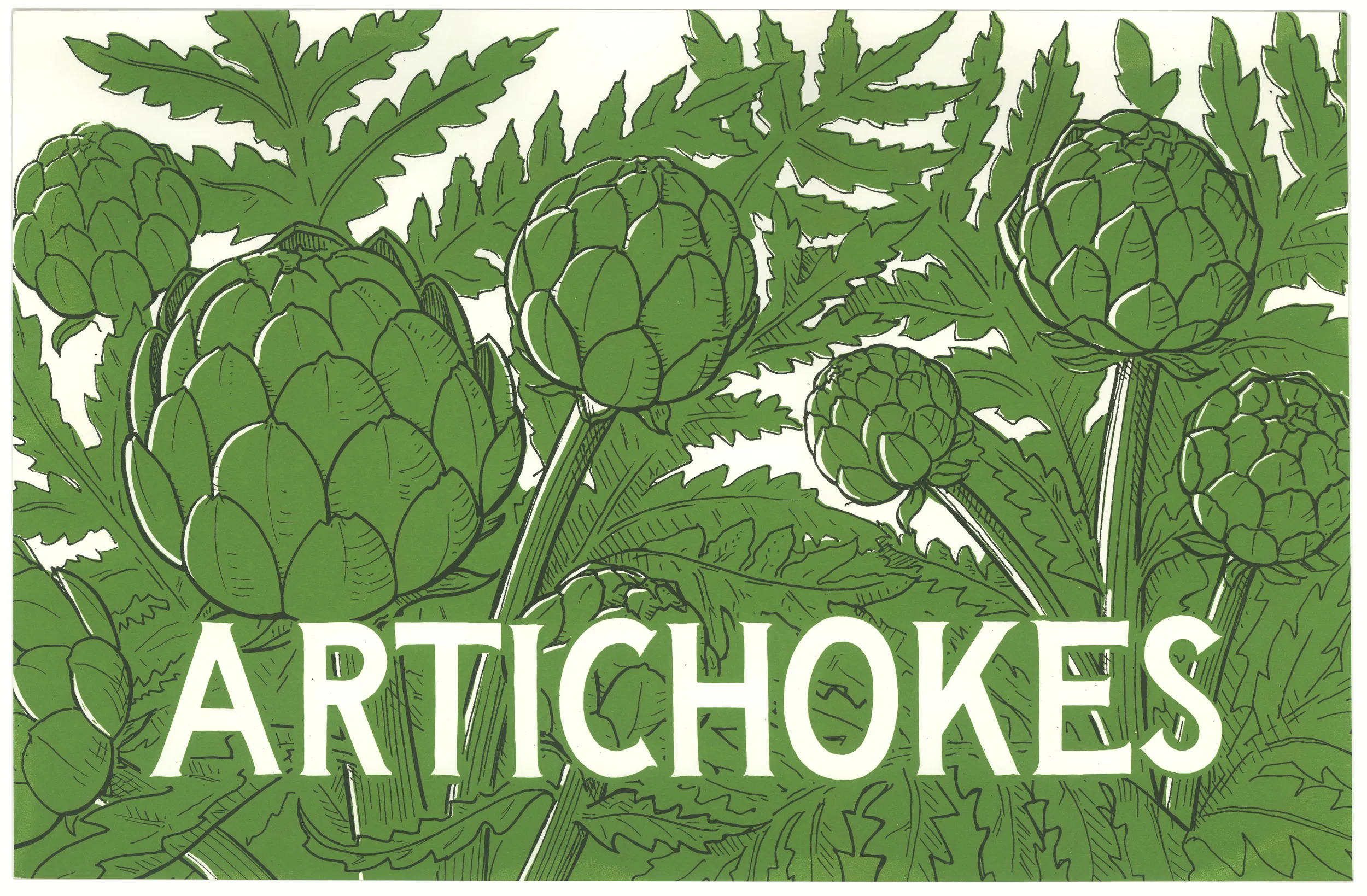 artichoke_web.jpg