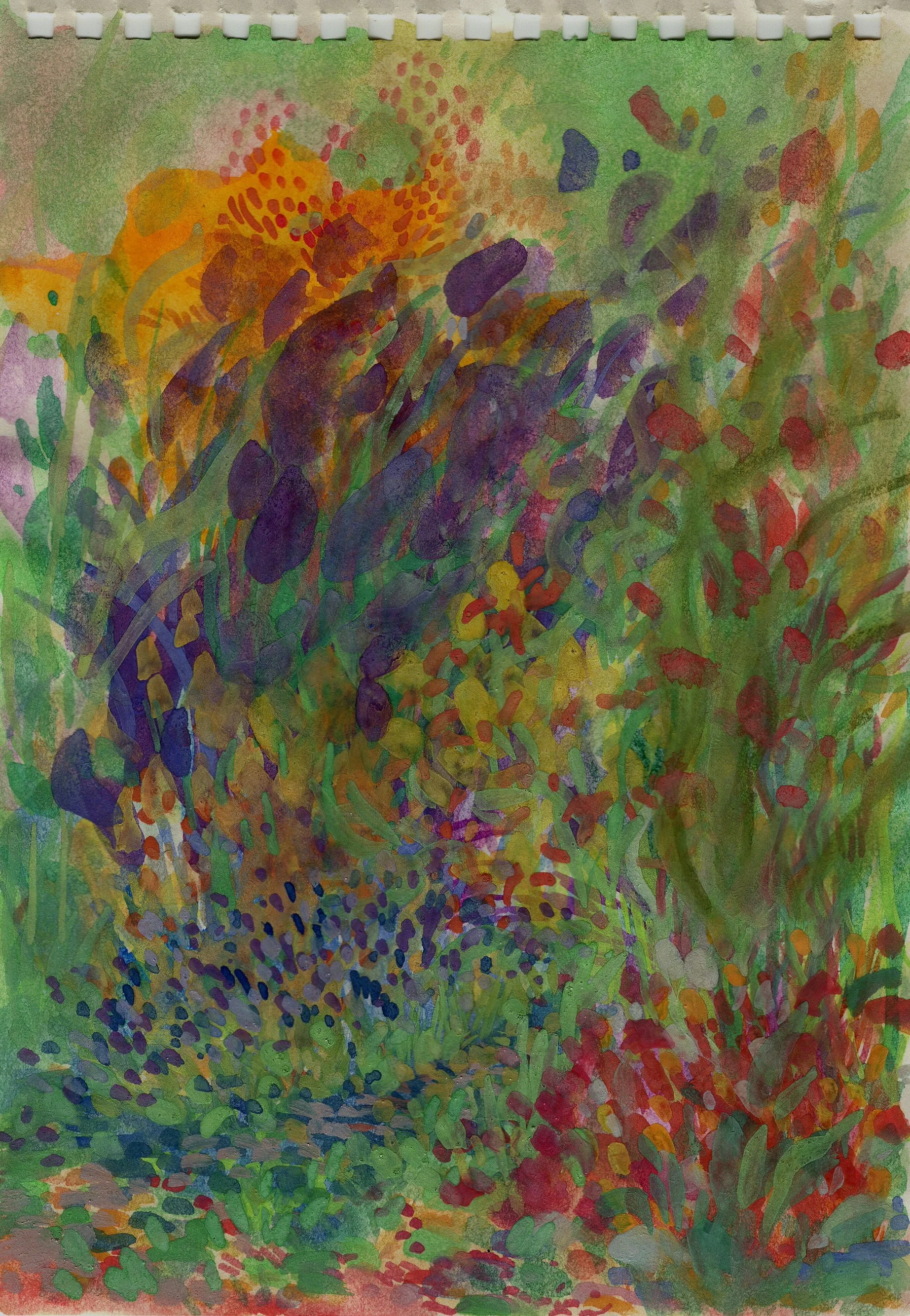 cottonwood one day early summer 2024.JPG