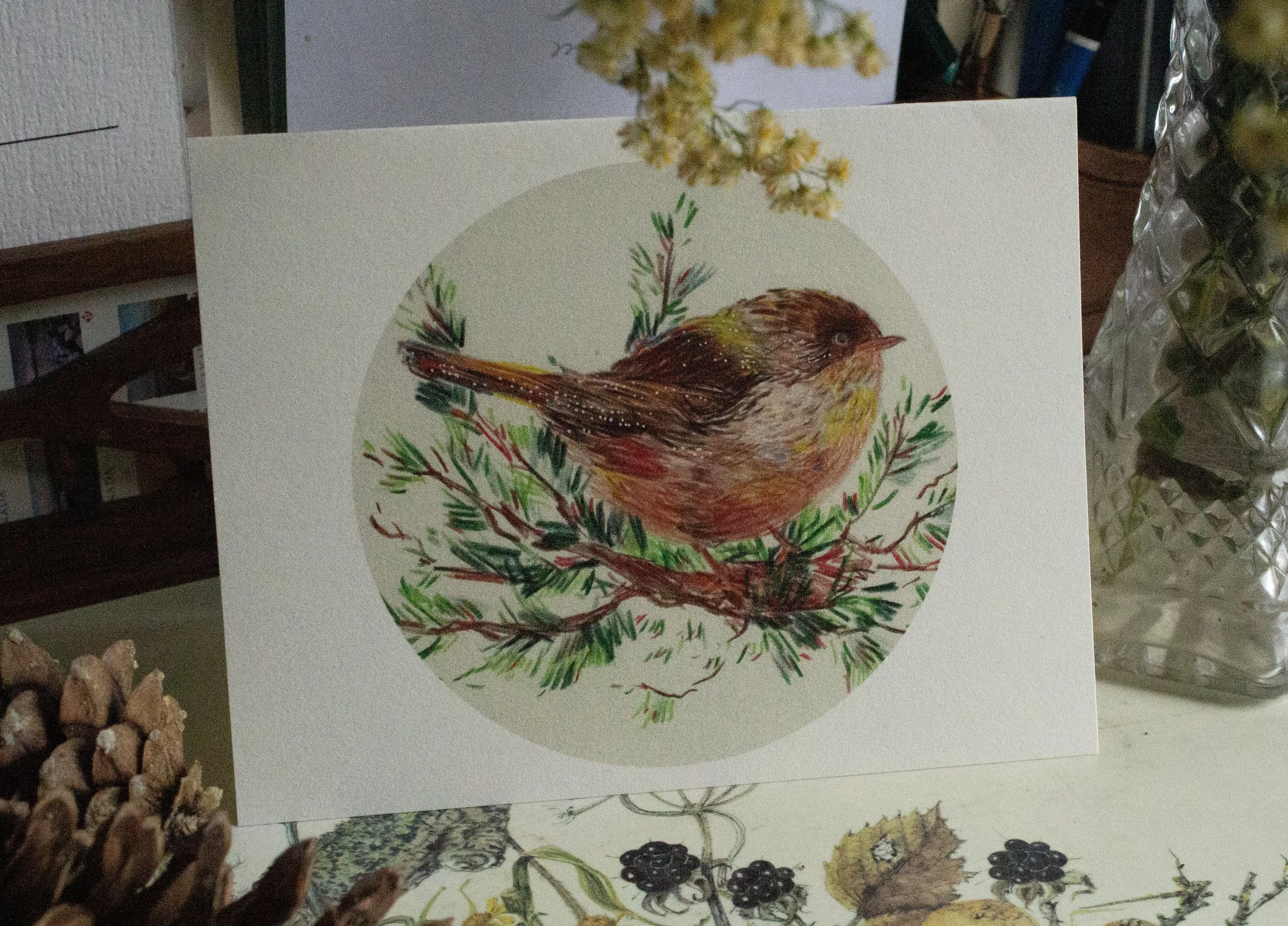 busy bird.jpg