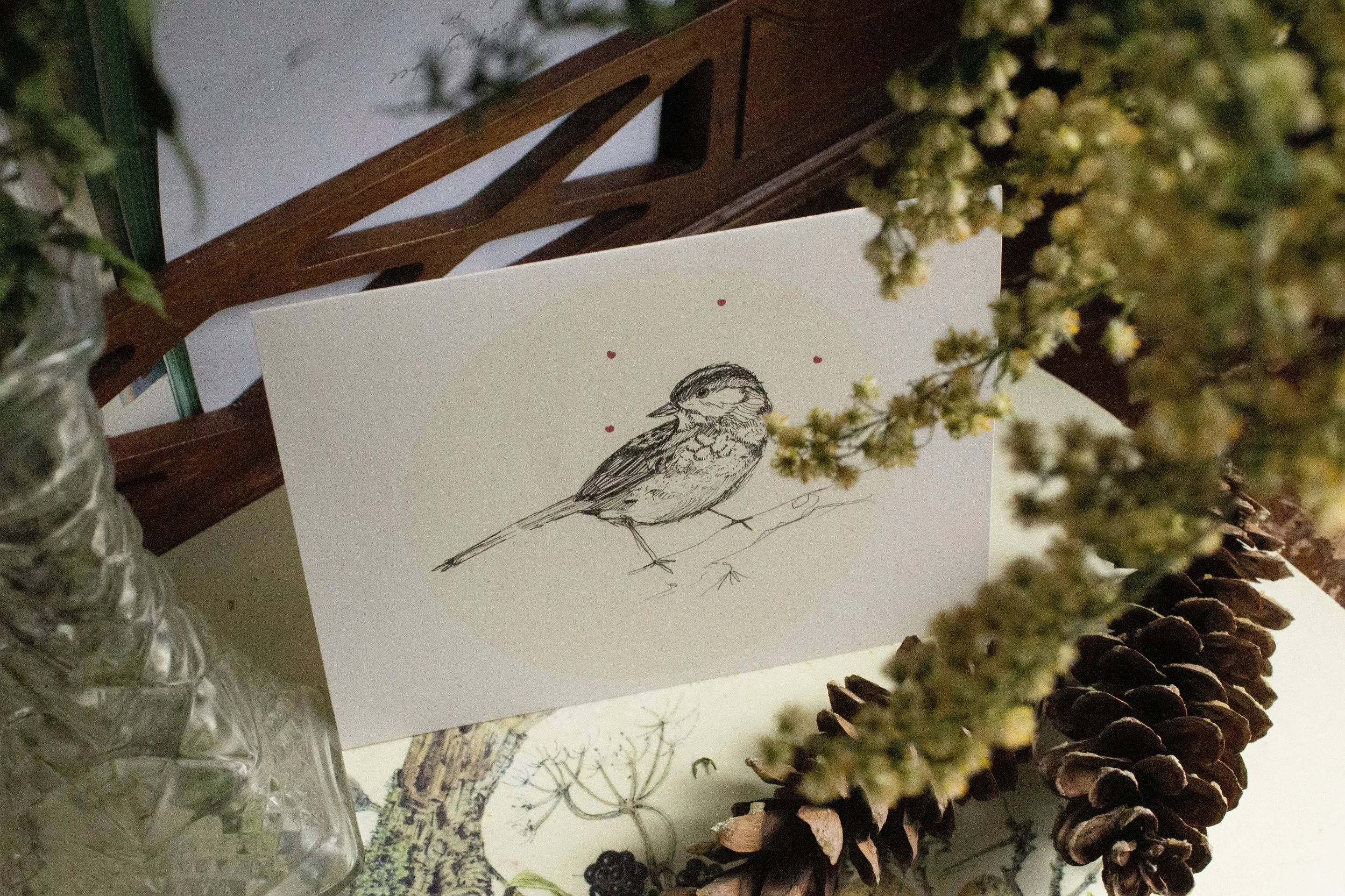 finch.jpg