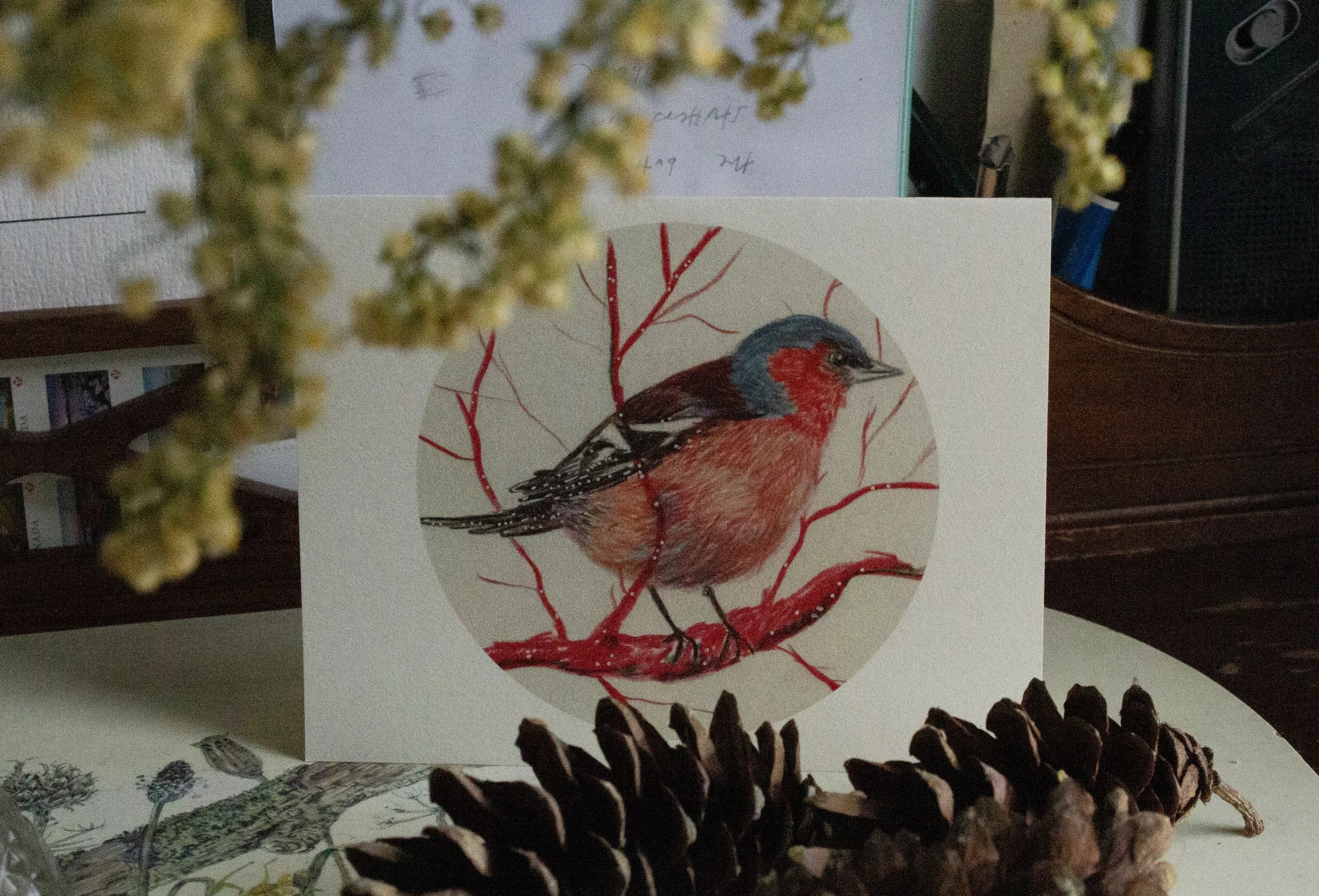 red blue bird.jpg