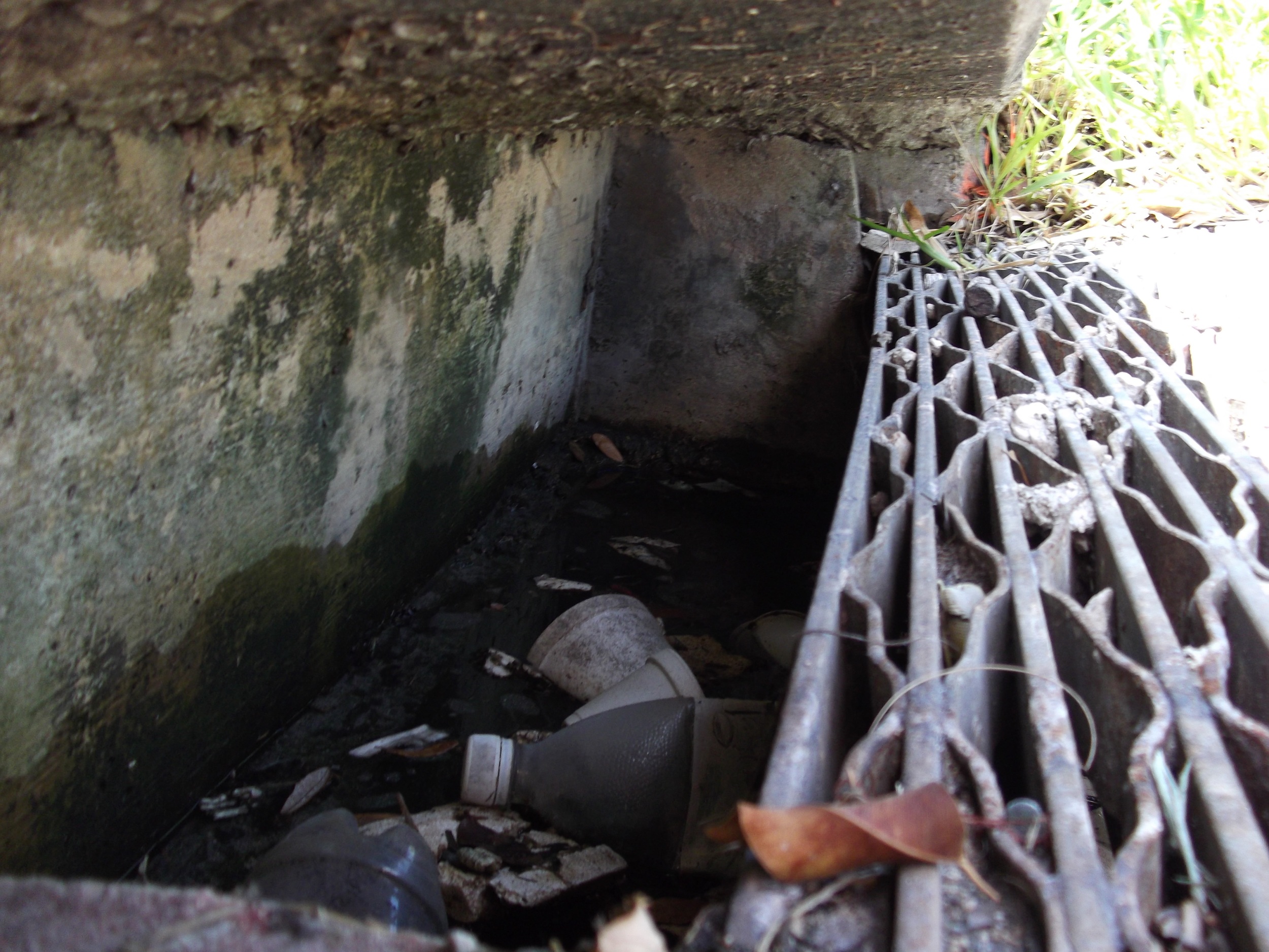 Pollution in Miami Beach, FL storm drain inlet