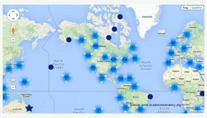 Volunteers around the world joined in the cleanup efforts