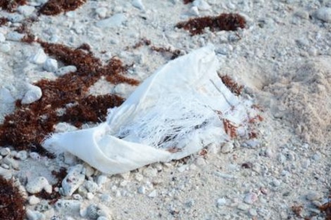 Grand Cayman - Bodden Town Beach - 3.jpg