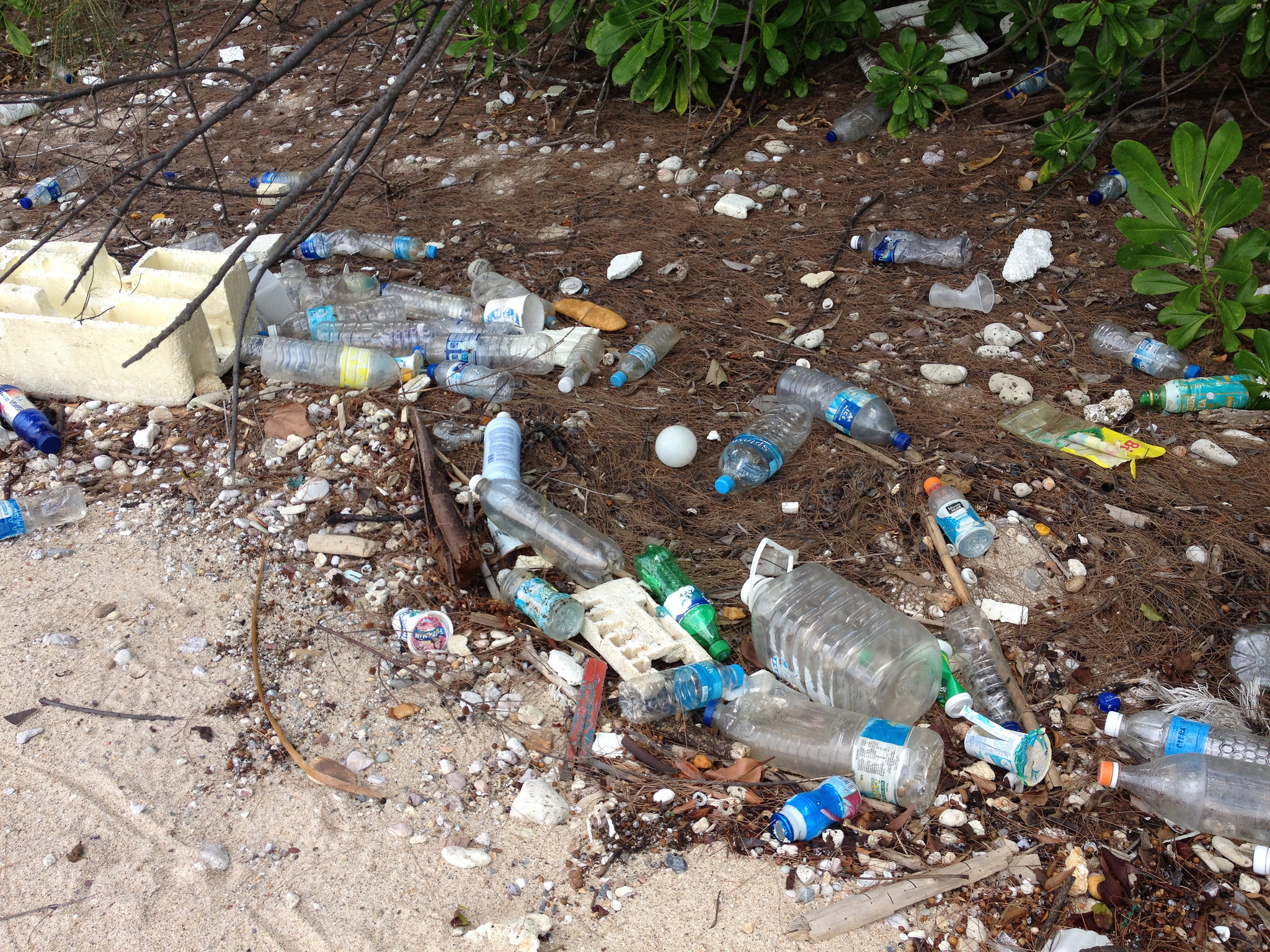 International Coastal Cleanup - 2014 - Pulau Tekokur - Singapore