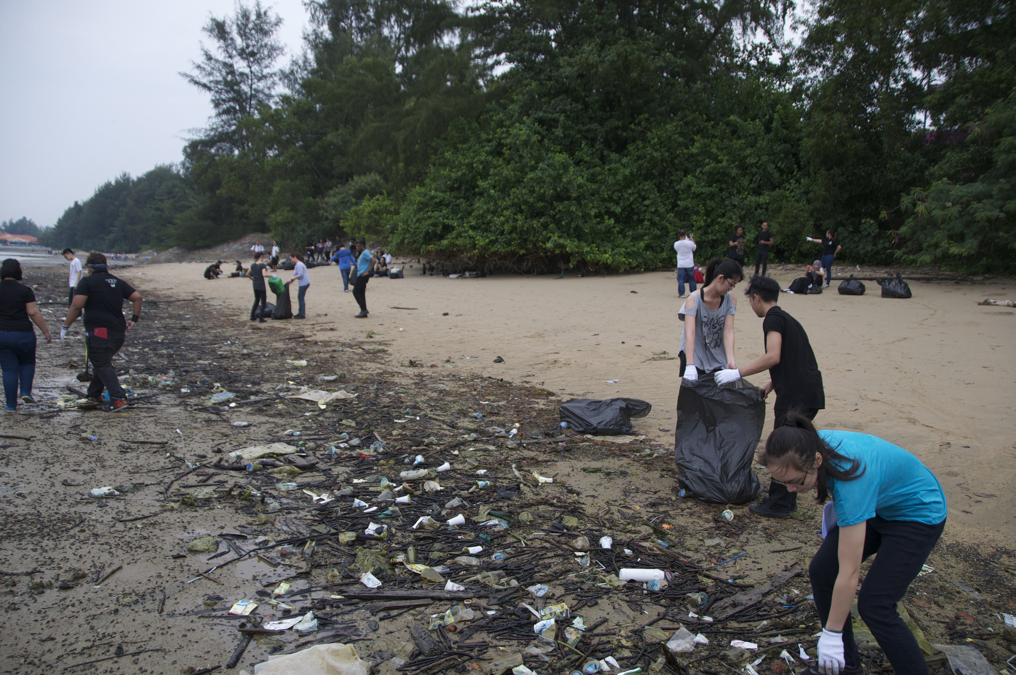 Singapore - Tanah Merah Beach - 2.19-before.jpg