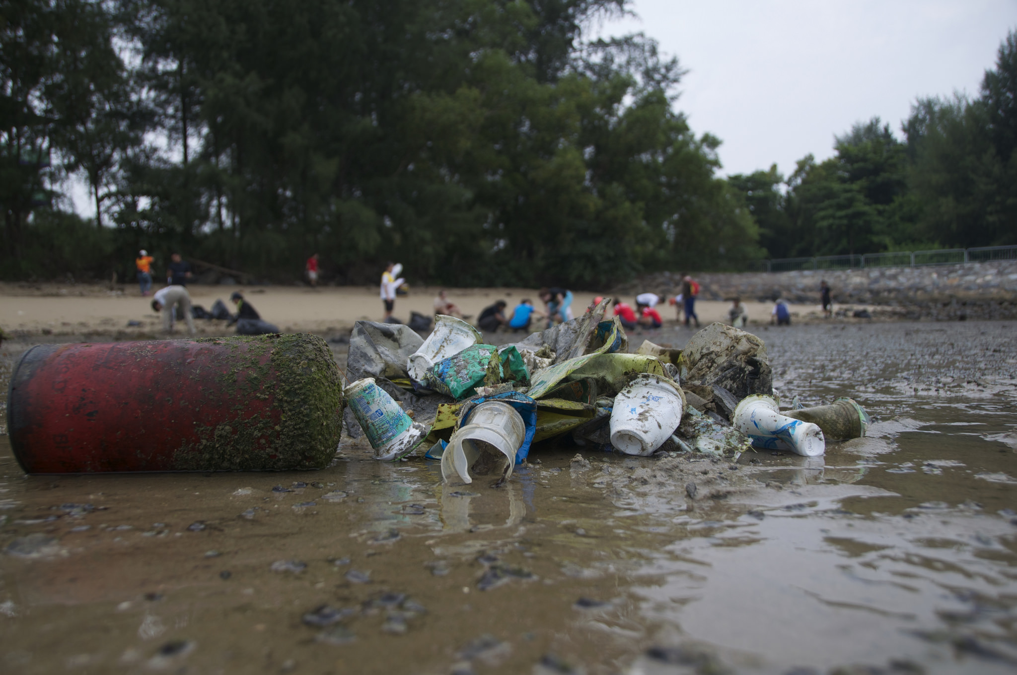 Singapore - Tanah Merah Beach - 2.22-before.jpg