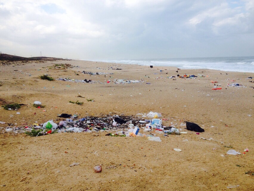 International Coastal Cleanup 2014 - Israel