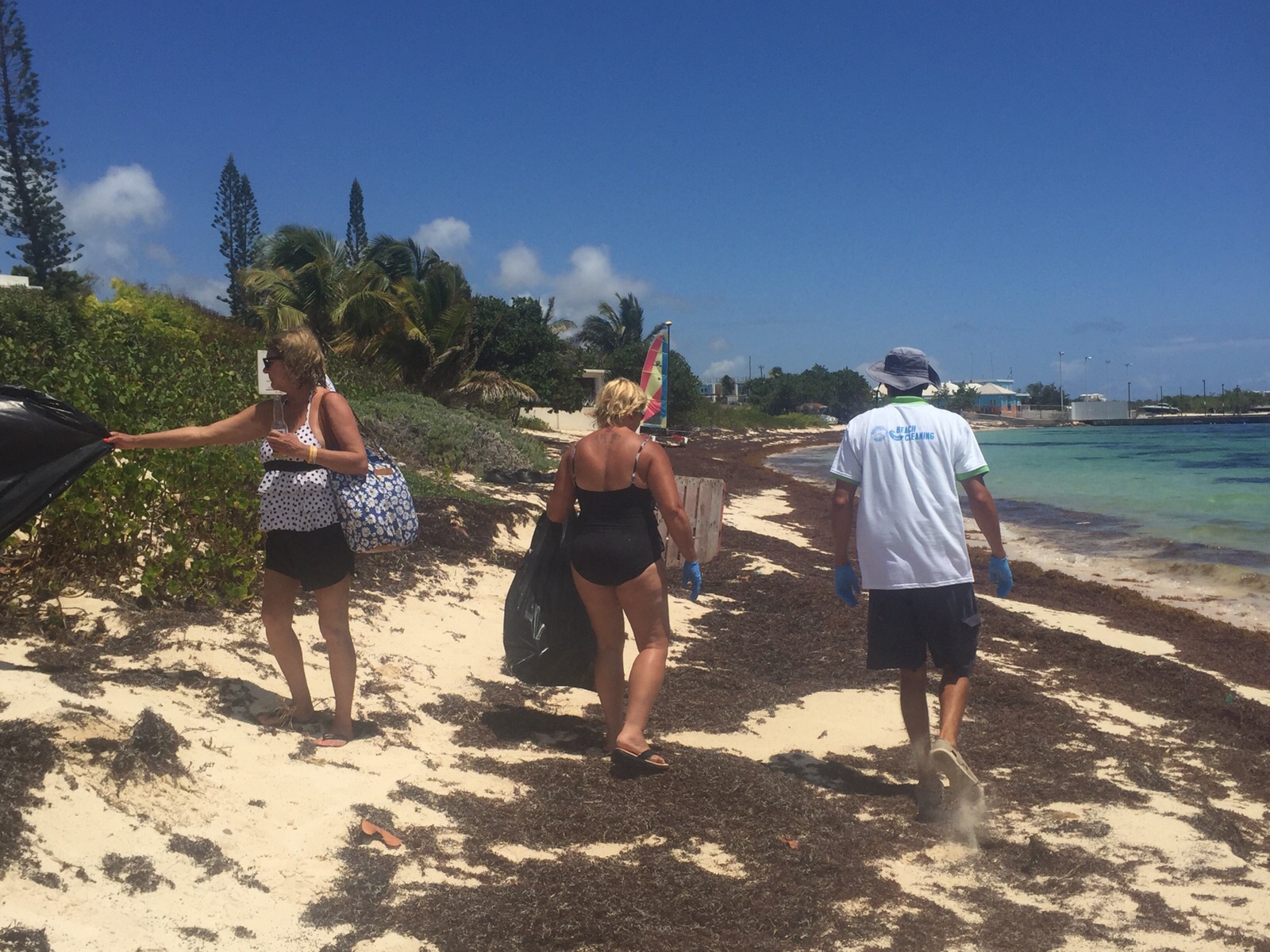 Anguilla - Dolphin Discovery - ICC2015 - 2.JPG