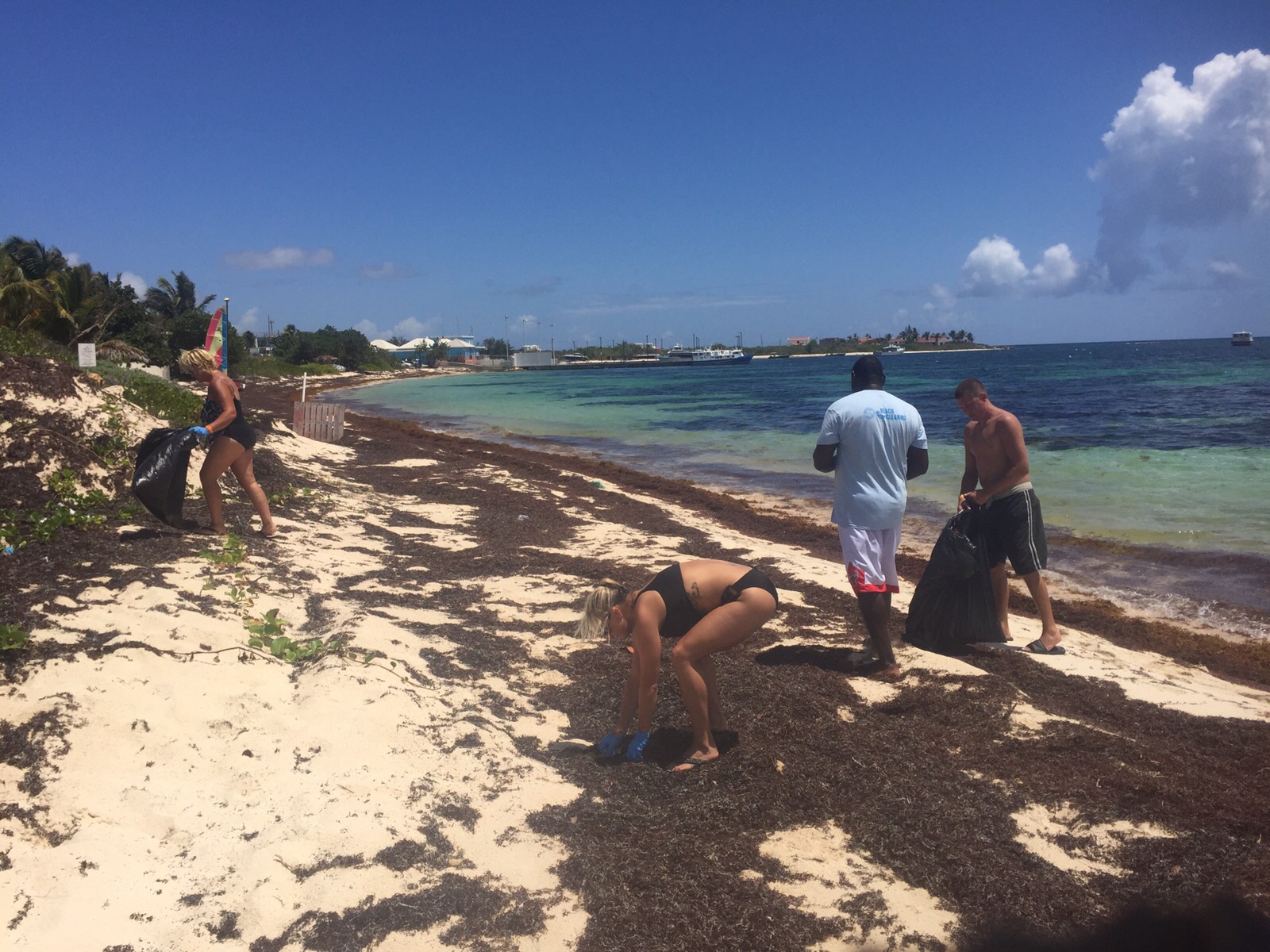 Anguilla - Dolphin Discovery - ICC2015 - 5.JPG