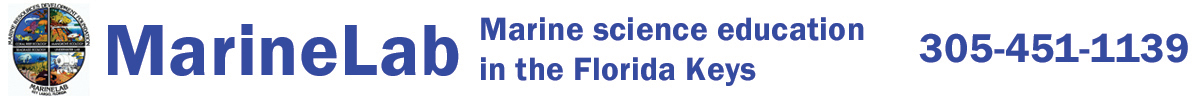 Marine Lab in the Florida Keys posts seasonal positions for the spring and fall. Their next upcoming seasonal position will be in January.