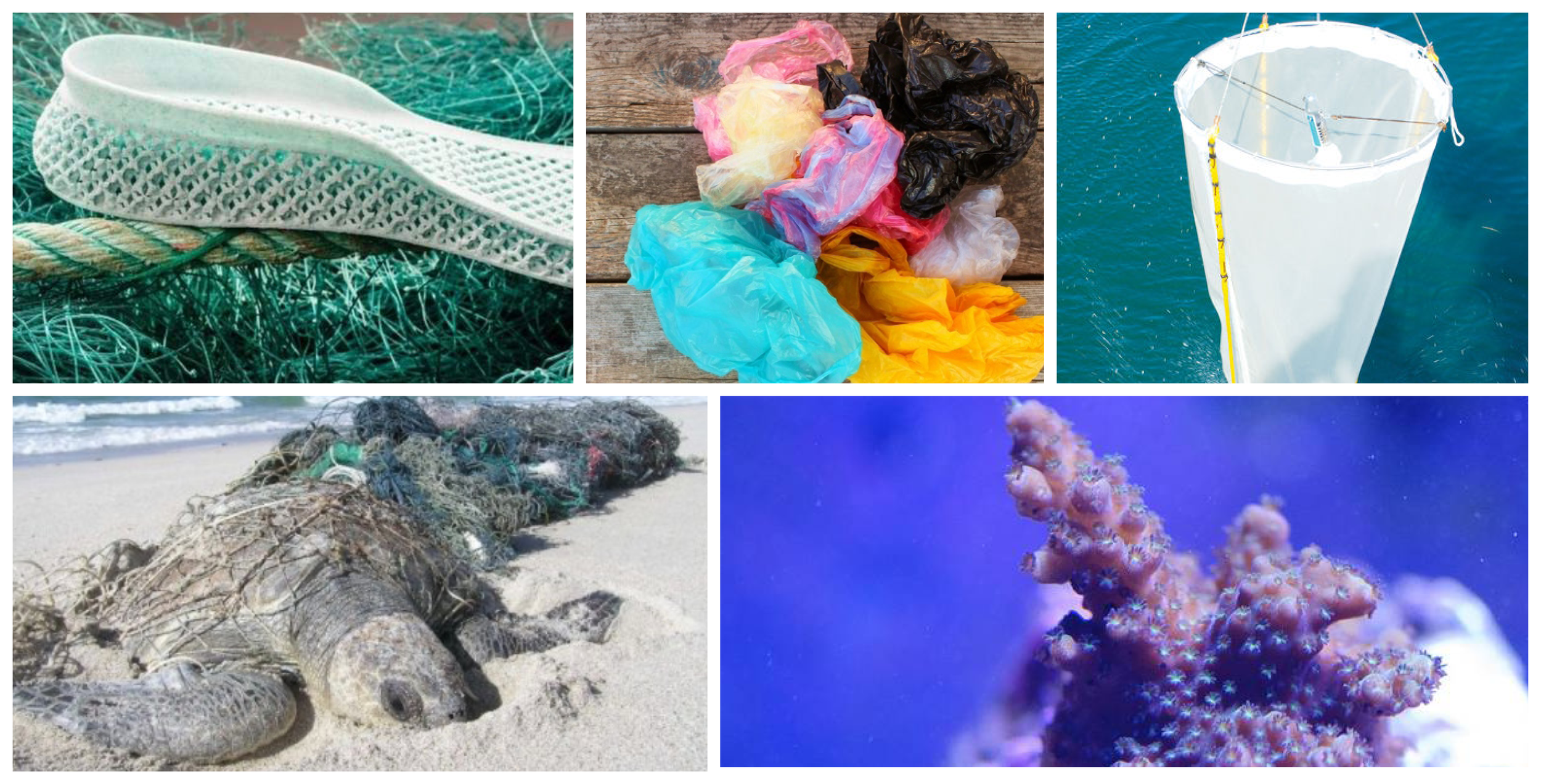 New ways to upcycle plastics, dead sea turtles, and less pollution in some places