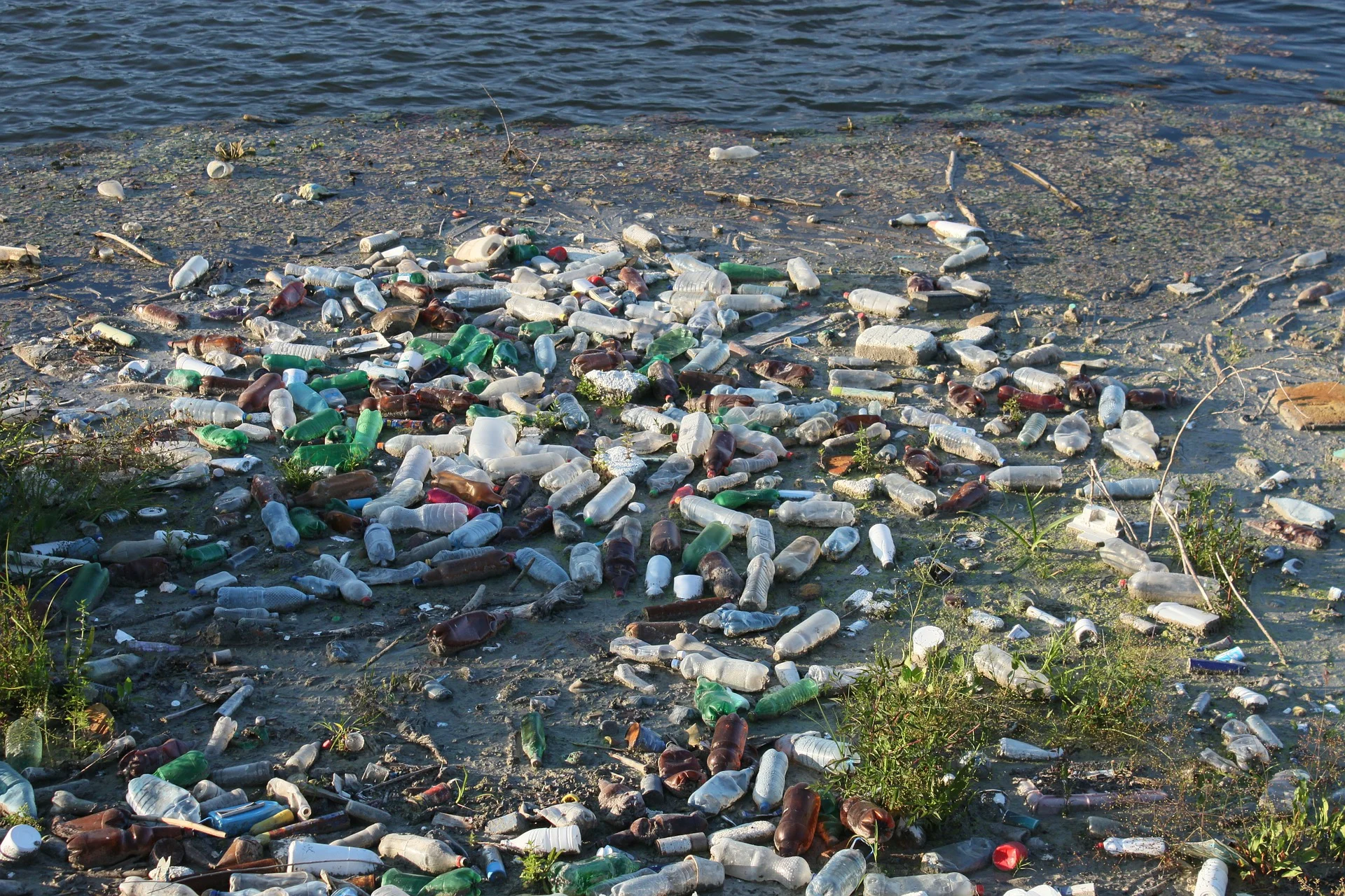 Pollution beach bottles-87342_1920.jpg