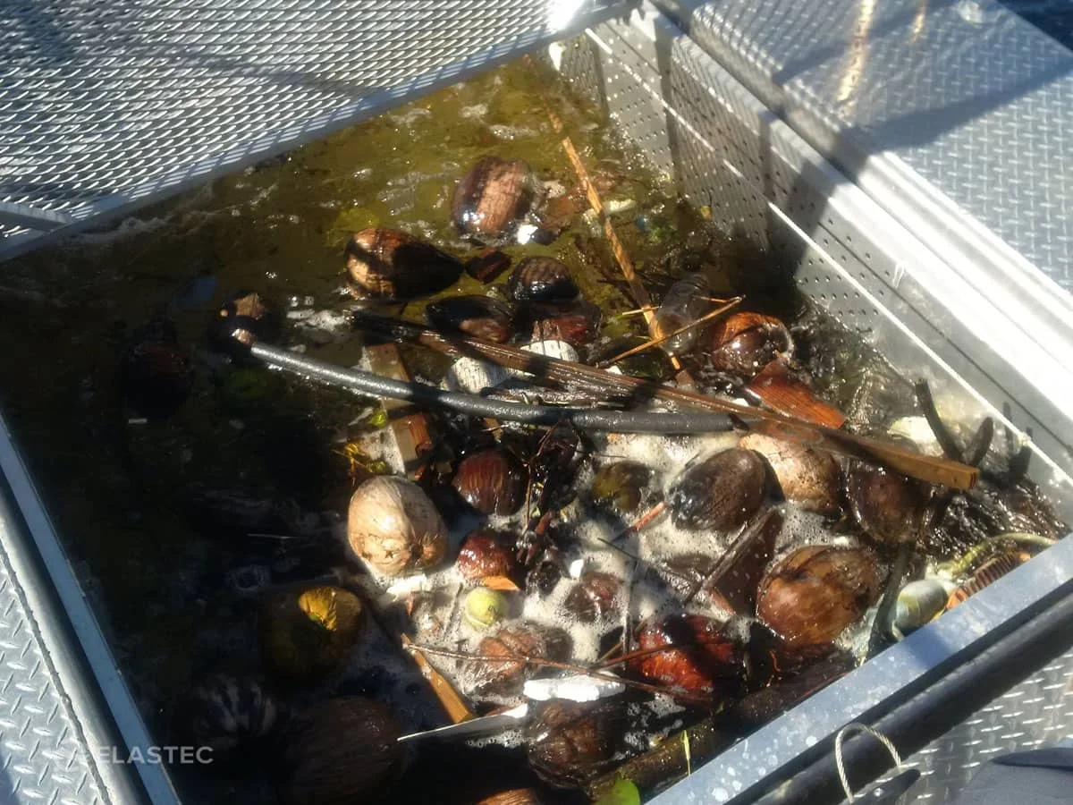 omni-catamaran-litter-basket-full.jpg