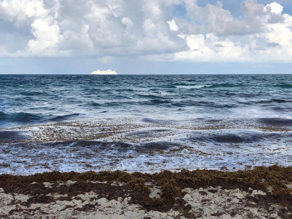 Sargassum Issues and Solutions July 24, 2020 webinar