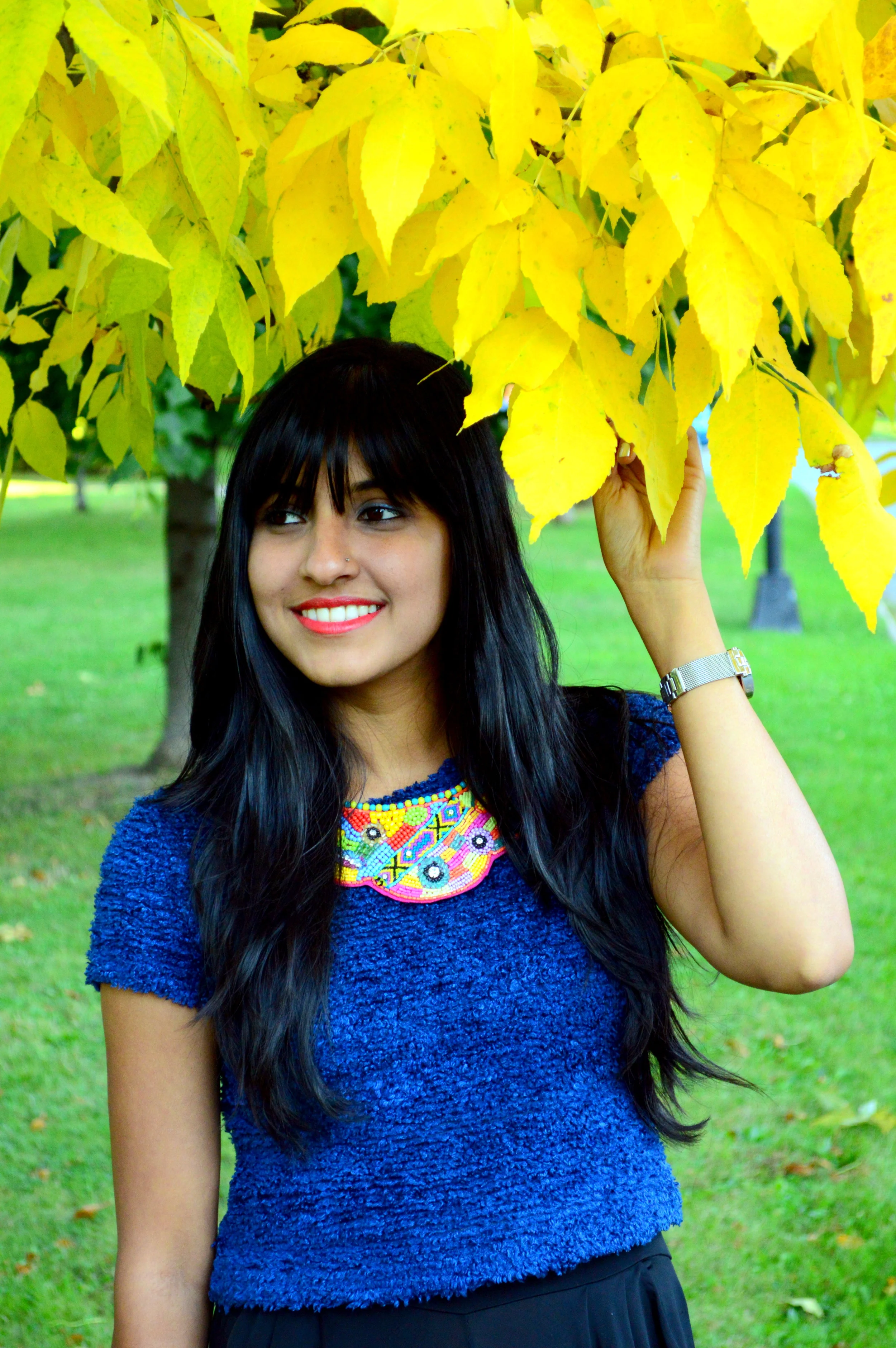  Color Crush: Black & Blue