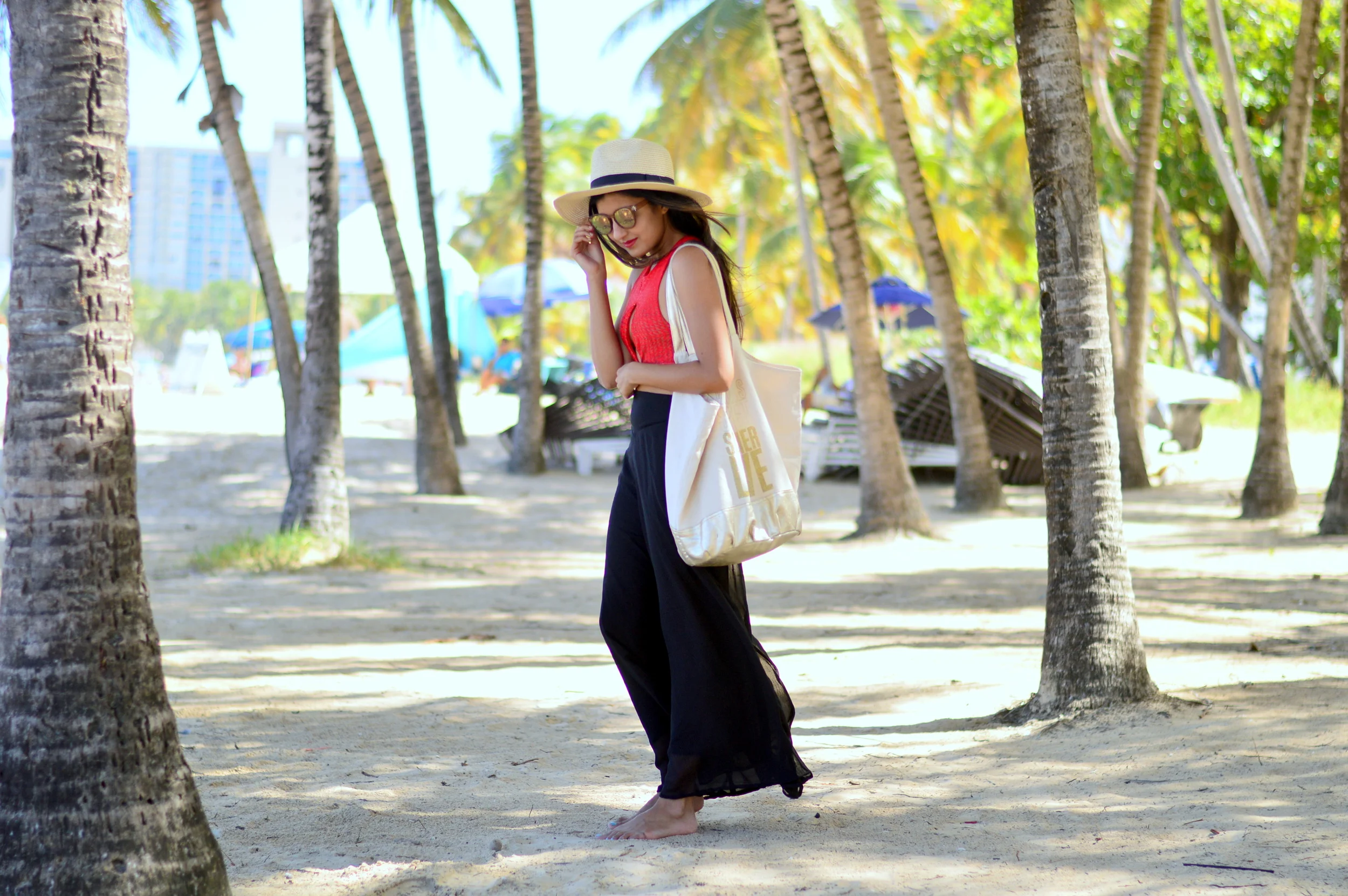 Palm Paradise: Isla Verde, Puerto Rico 