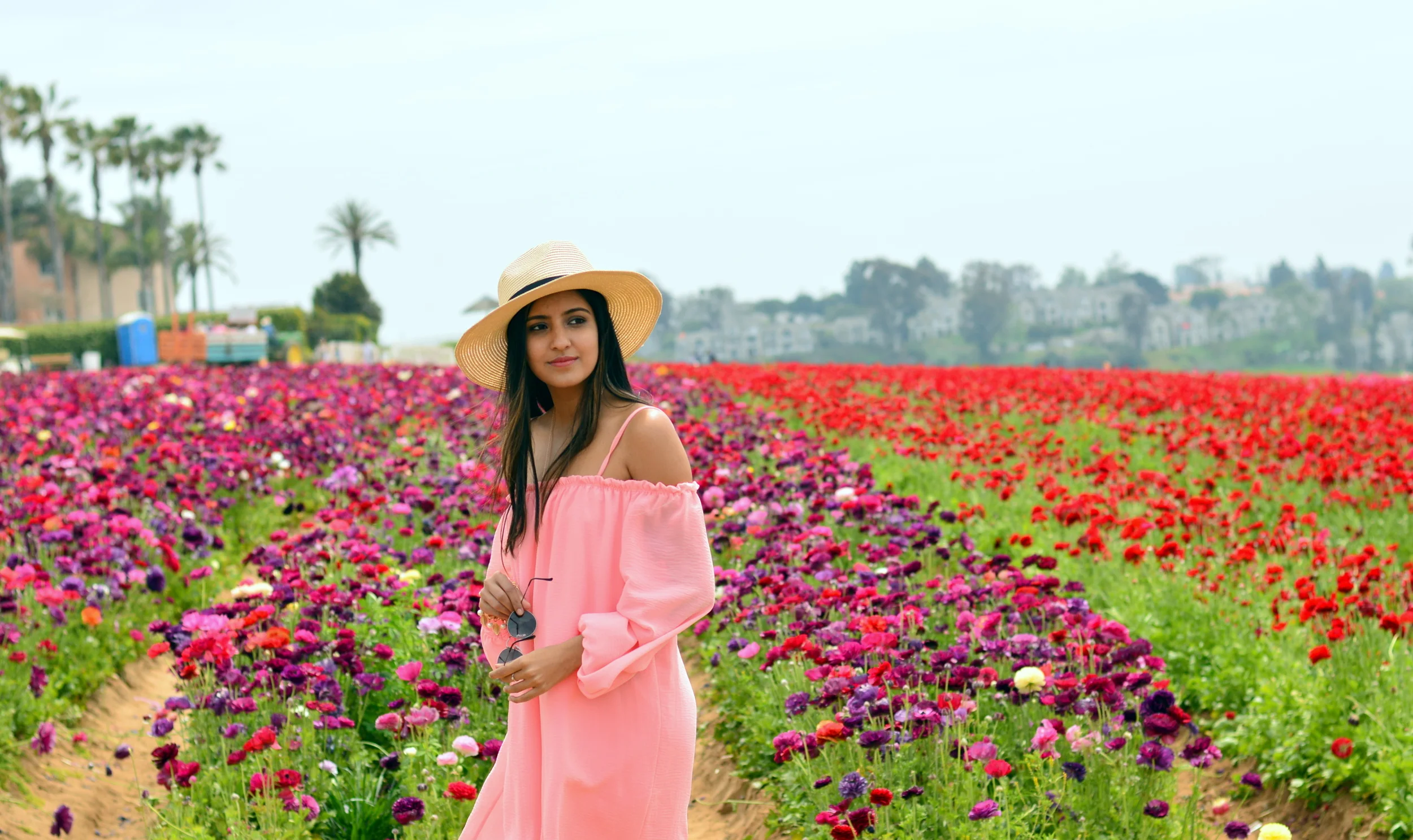 Carlsbad Flower Fields