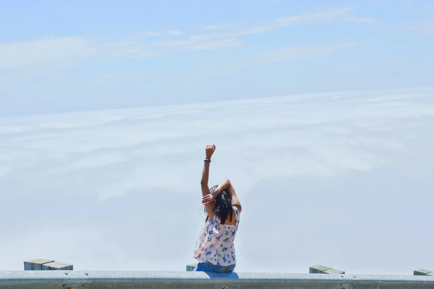 Postcards from a day by the Bay: Marin & Lands End