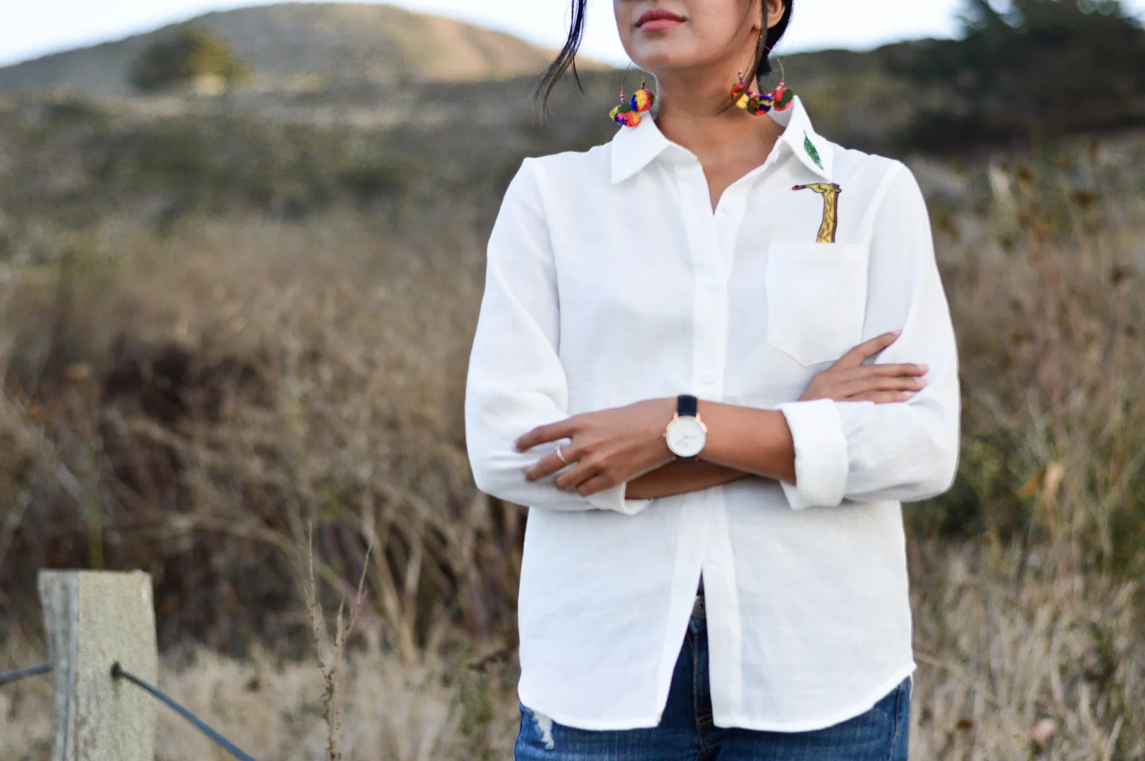 Indian Summer Nights