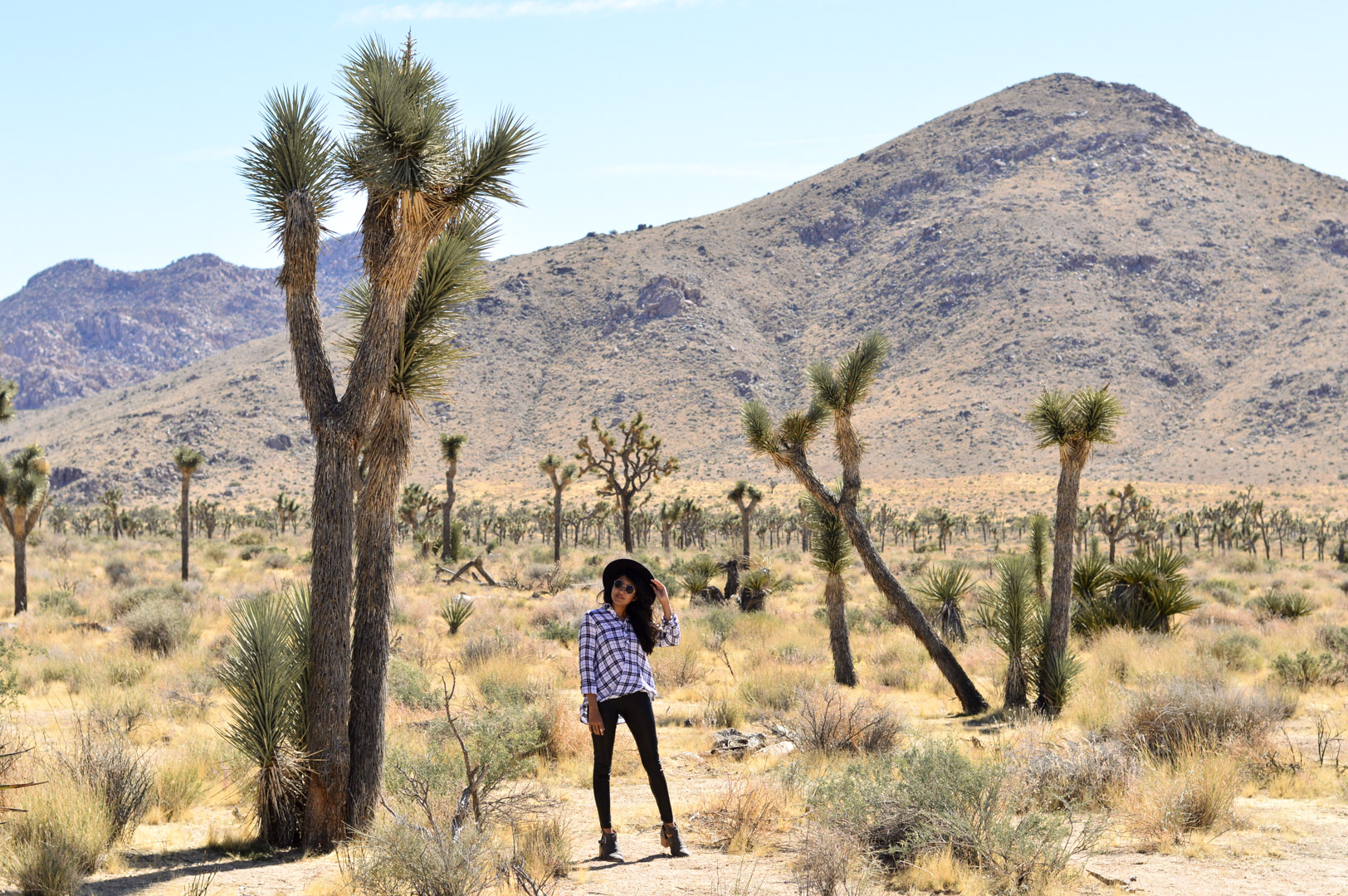 Plaid Wrap Shirt: Joshua Tree National Park, California