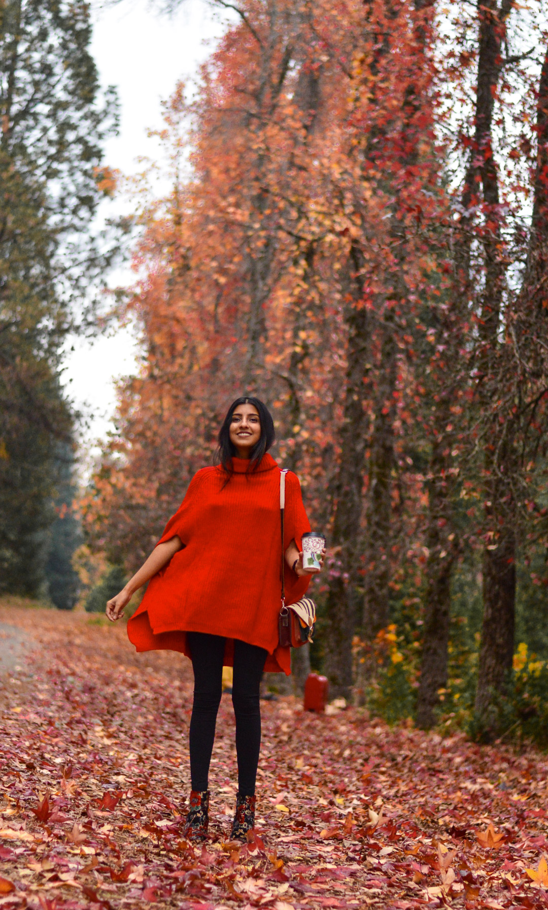 A Daytrip to Apple Hill, CA