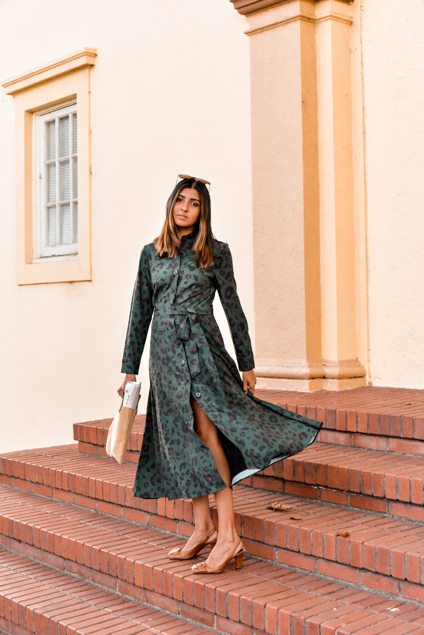 animal-print-shirtdress-fashion-blogger 5