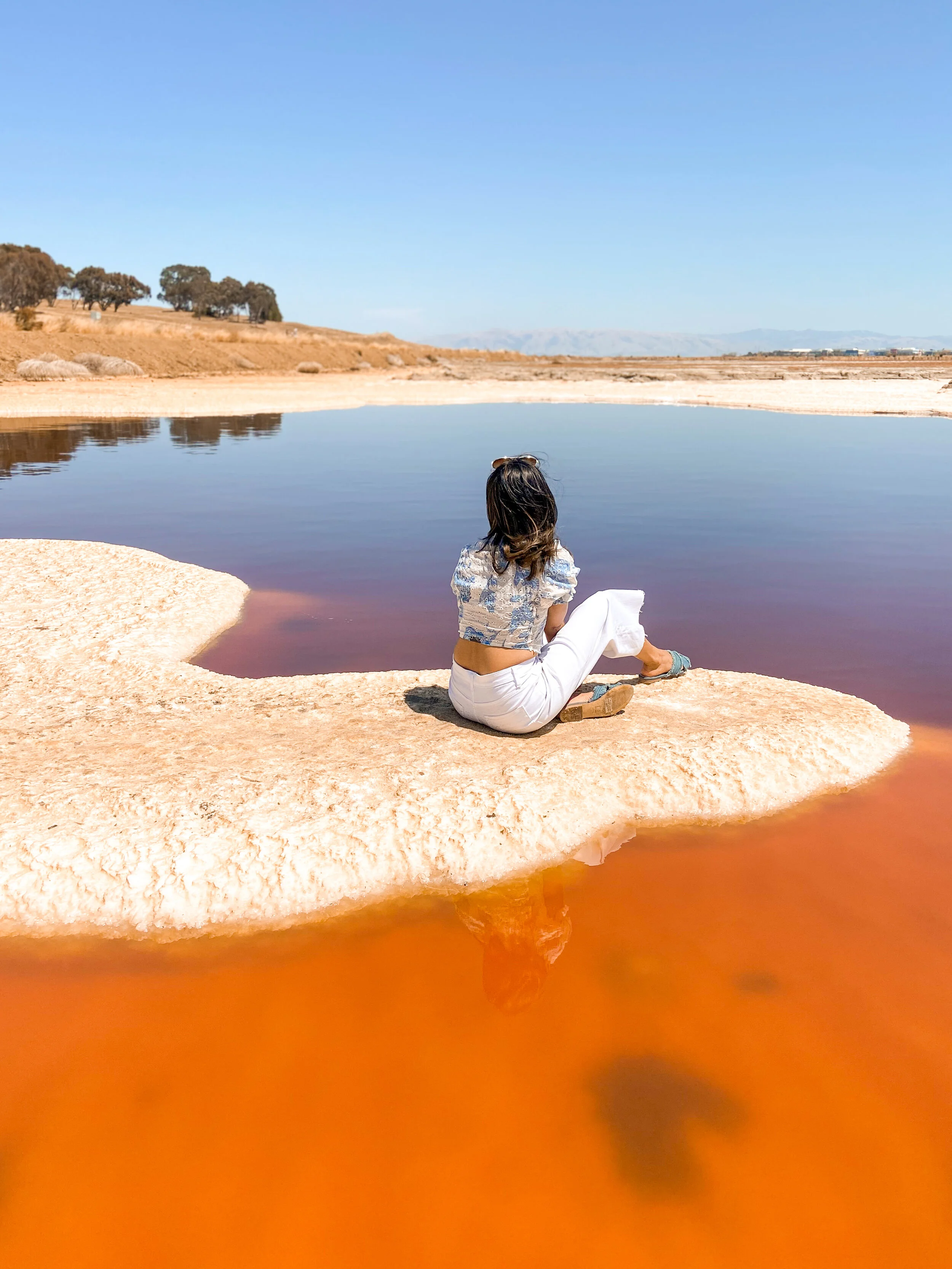 salt-ponds-bay-area-roadtrips 5
