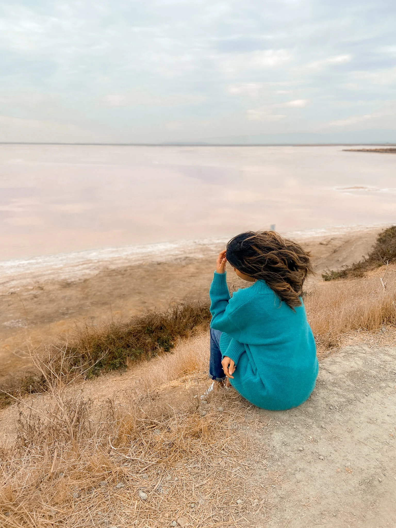 The Salt Ponds of Alviso County Marina Park