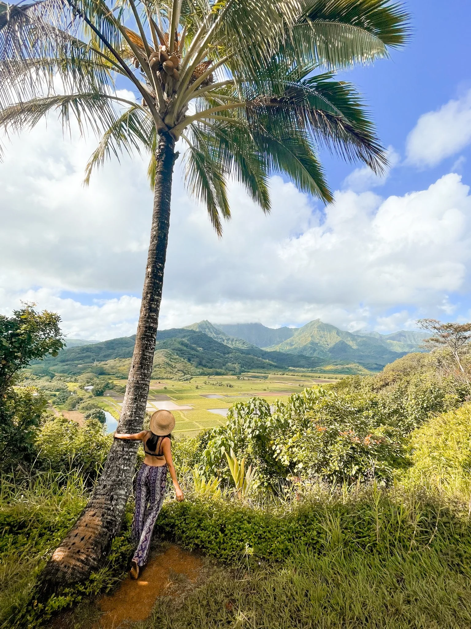 6 Days in Kauai, Hawaii: Our Travel Highlights 