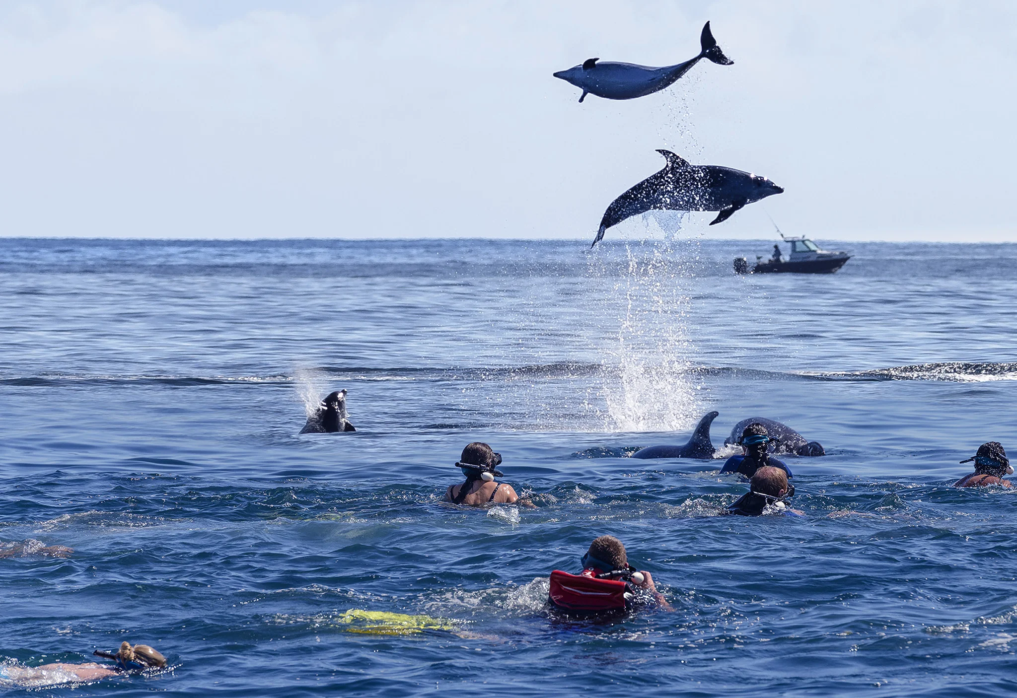 Dolphin Eco Experience 5.jpg